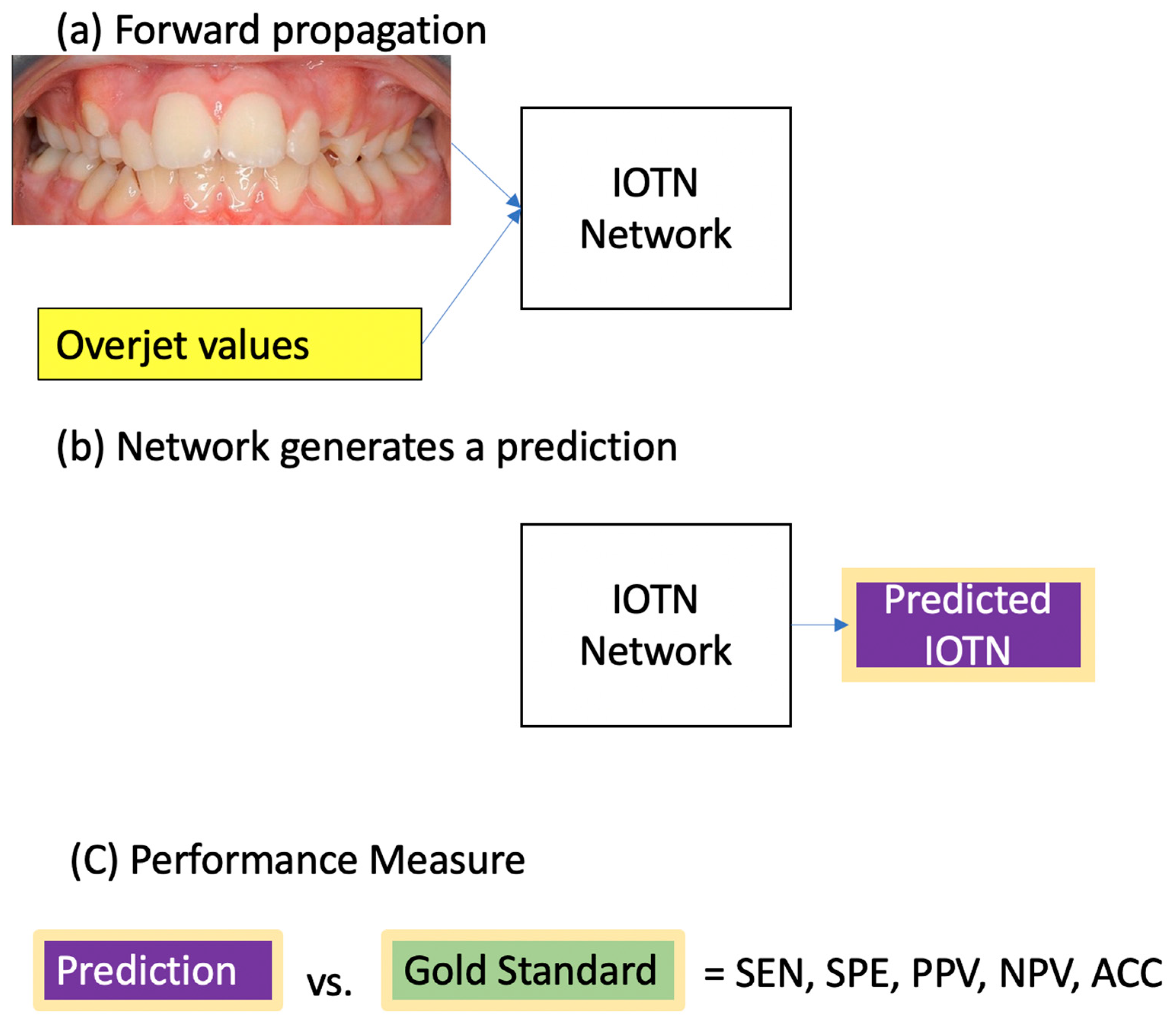 Bioengineering 11 00861 g003