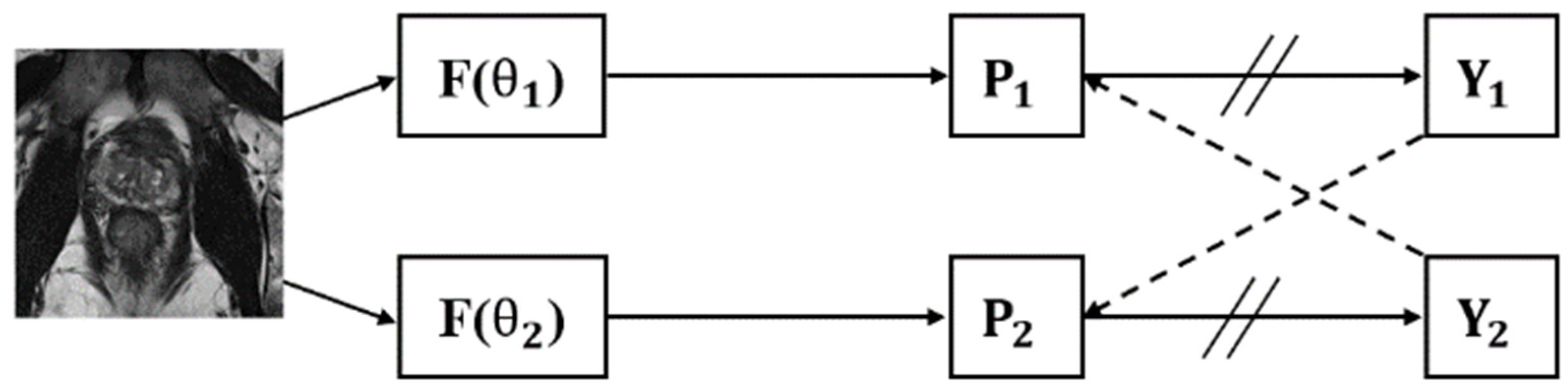 Bioengineering 11 00865 g003