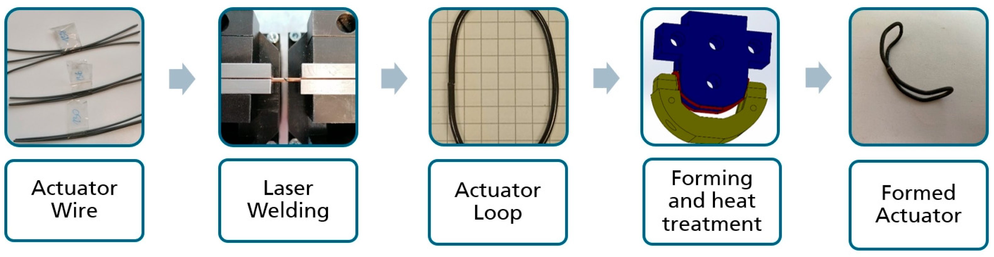 Bioengineering 11 00868 g006