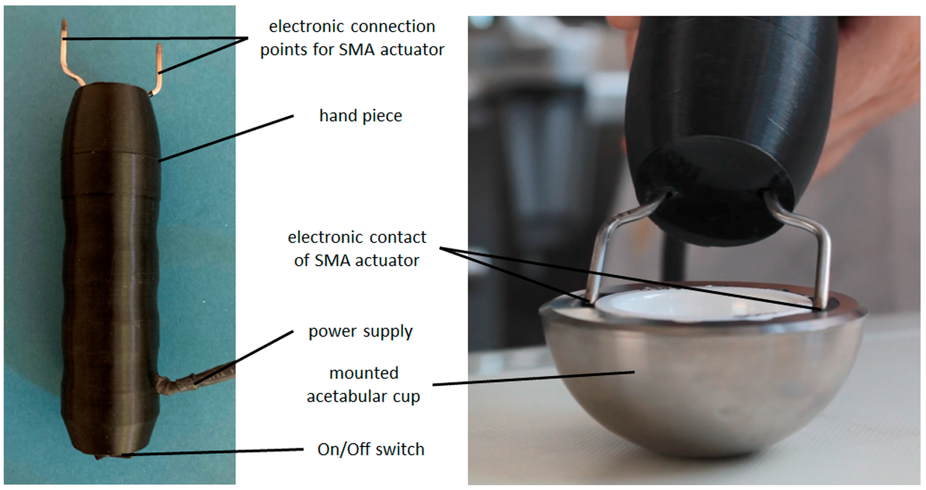 Bioengineering 11 00868 g007