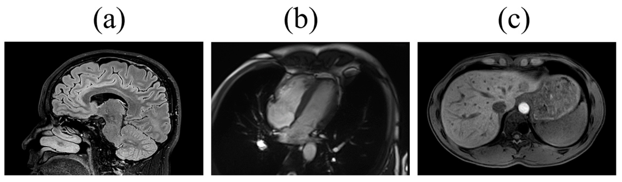 Bioengineering 11 00872 g002