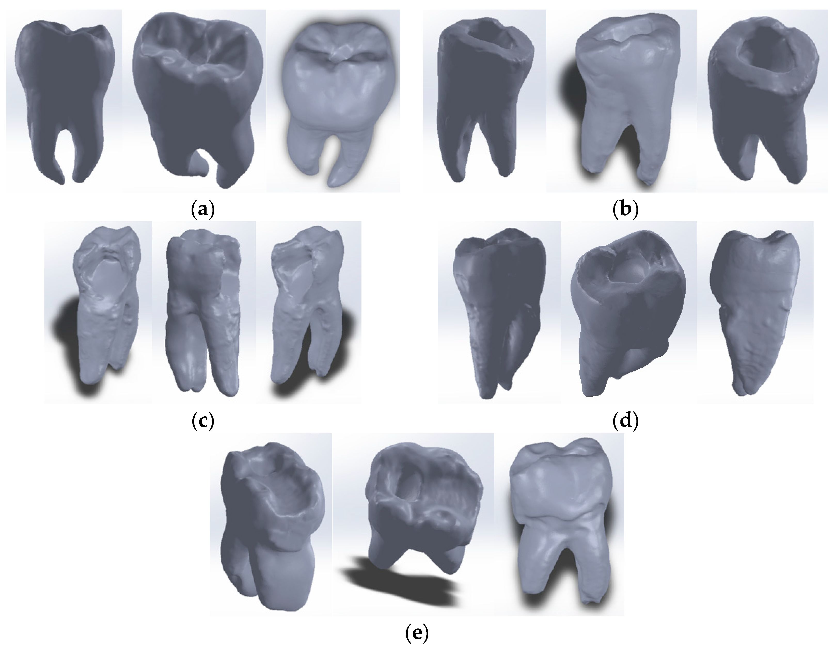 Bioengineering 11 00878 g006