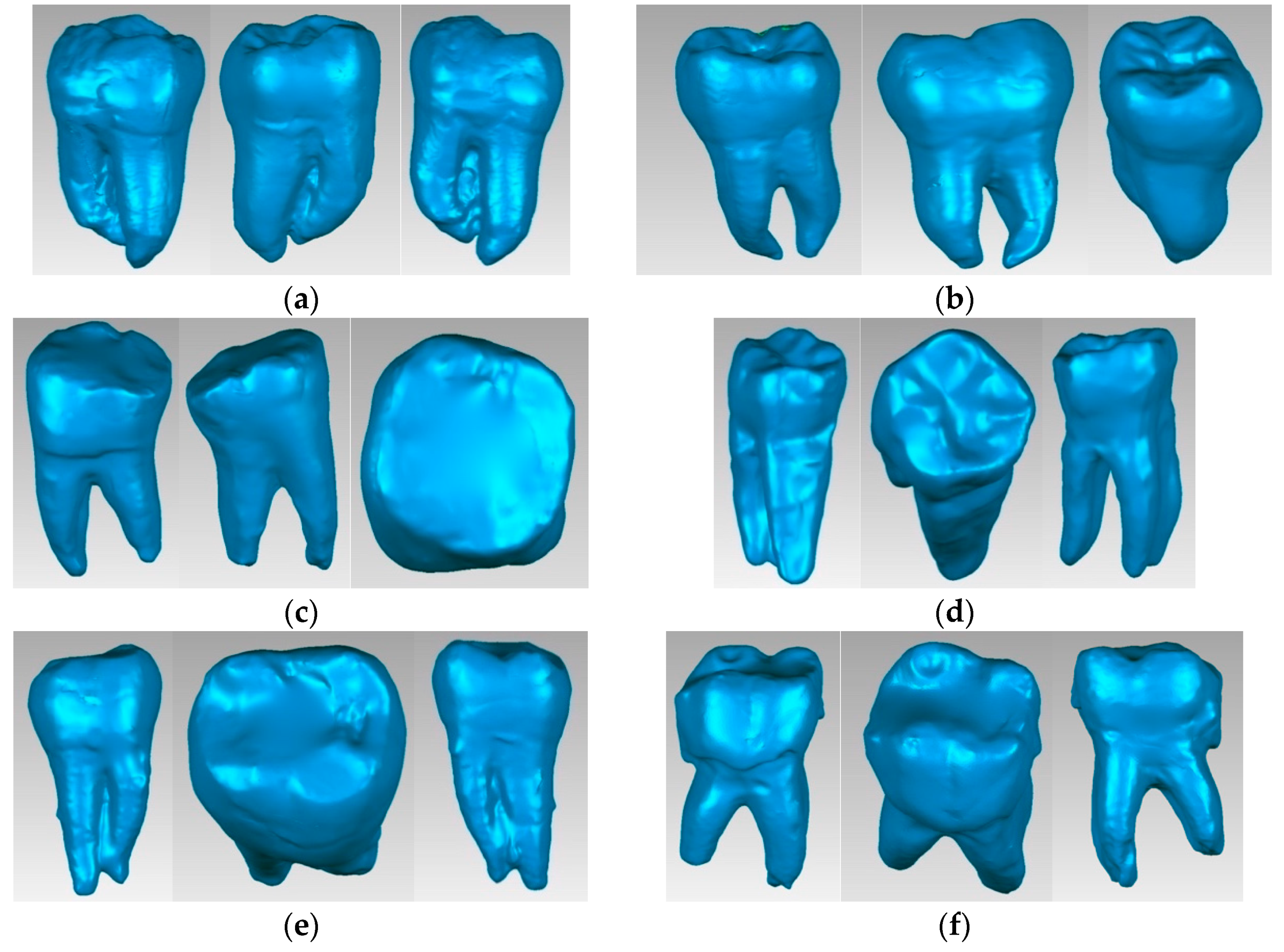 Bioengineering 11 00878 g008