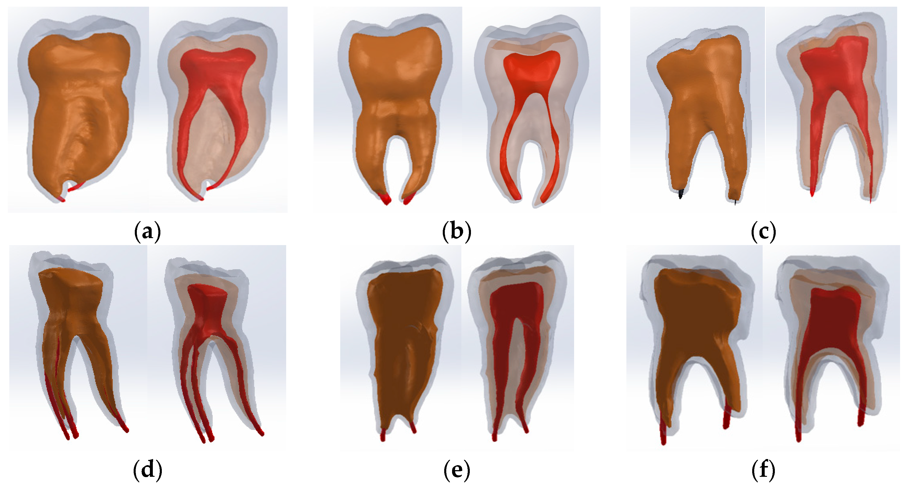 Bioengineering 11 00878 g010