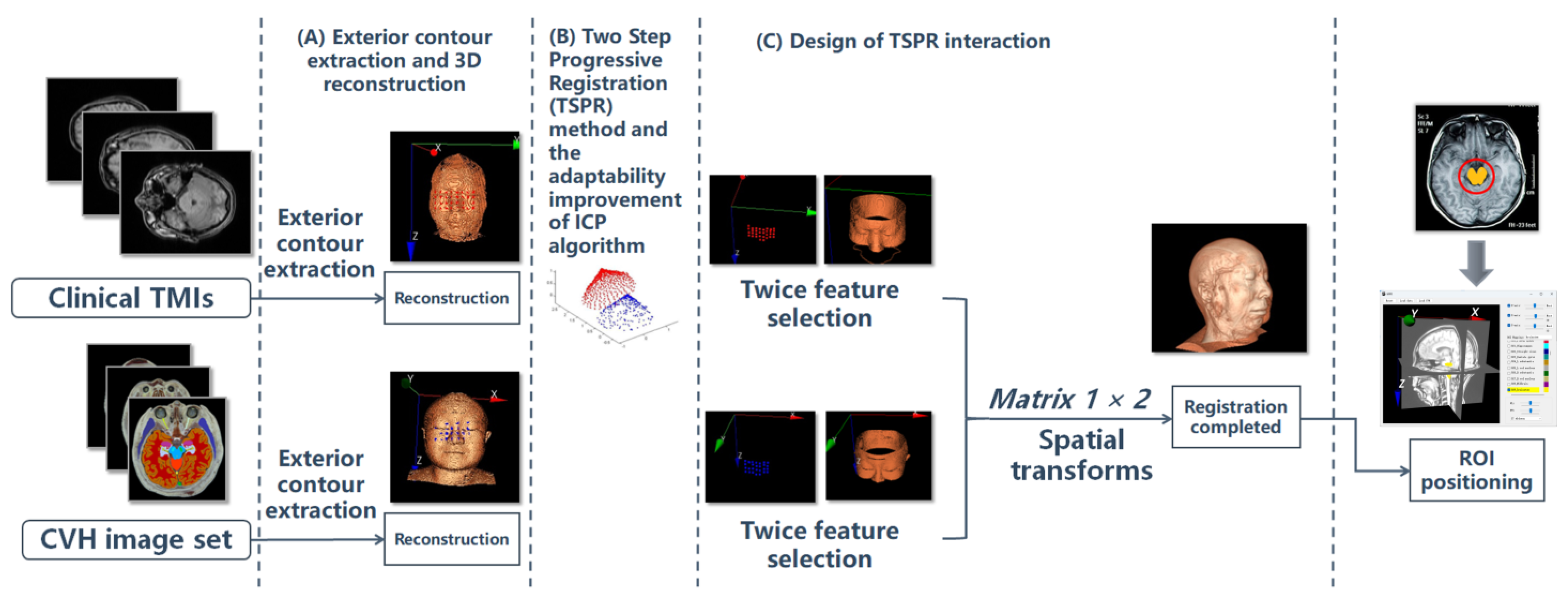 Bioengineering 11 00891 g001