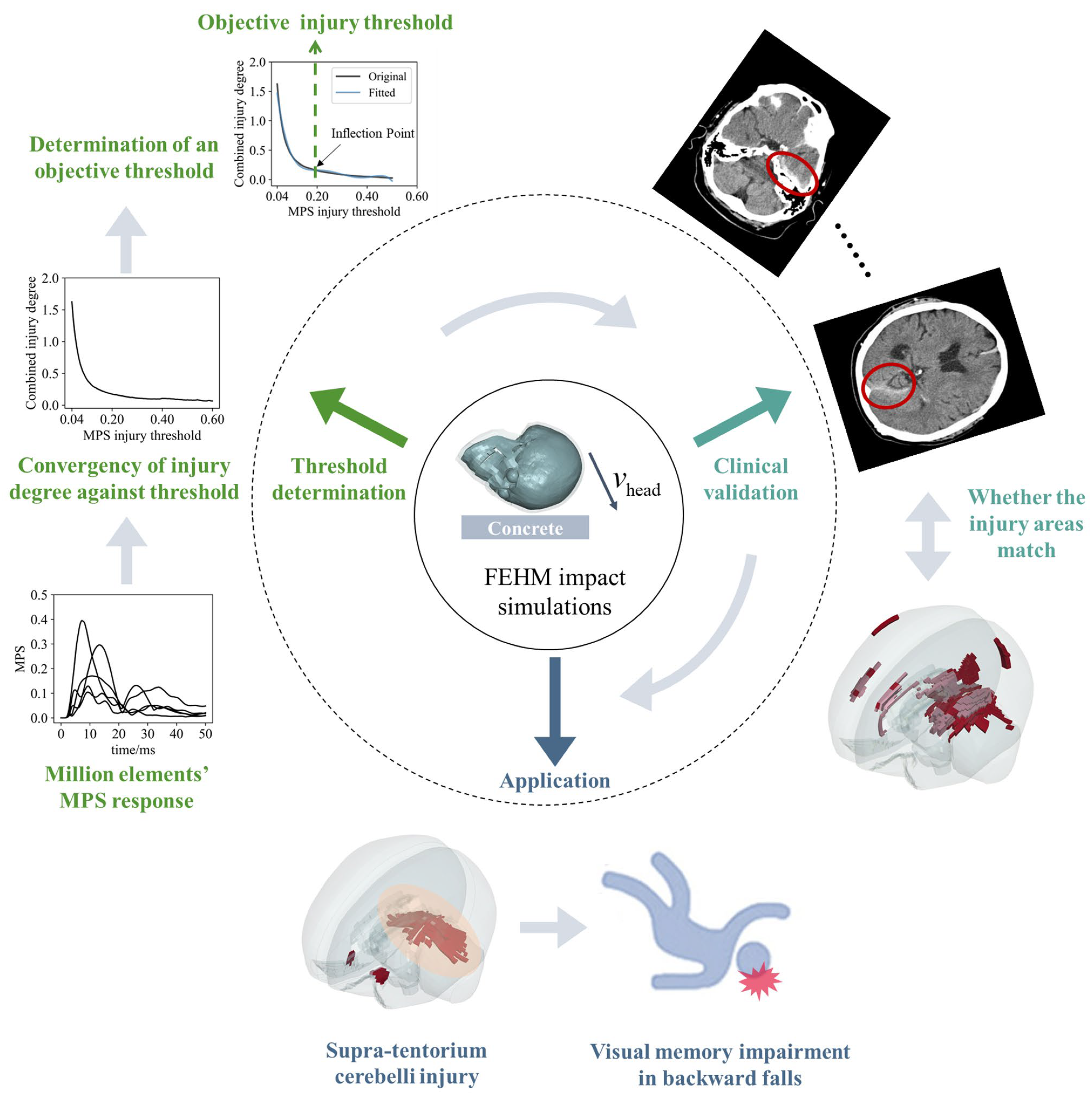 Bioengineering 11 00918 g001 Bioengineering 11 00918 g001