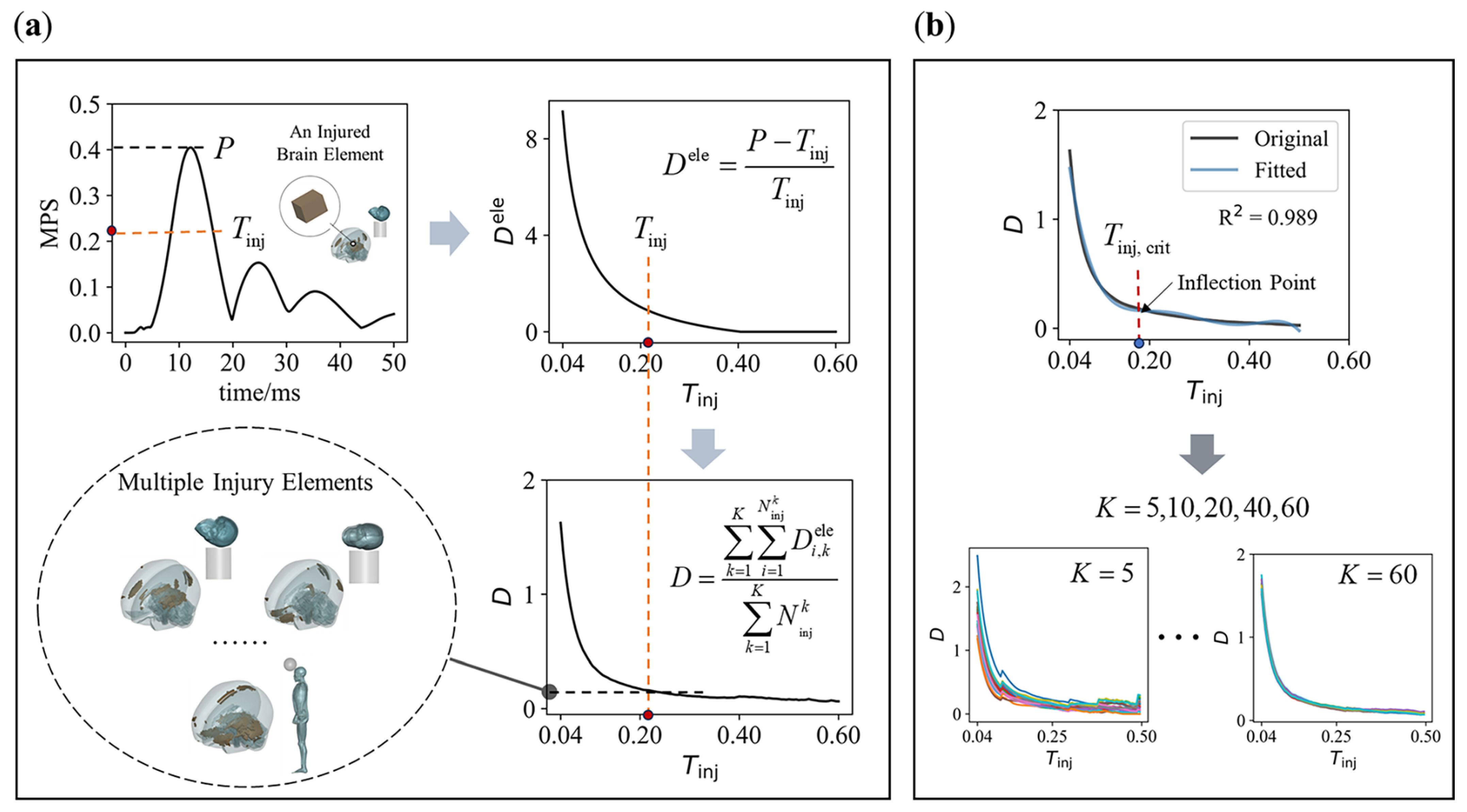 Bioengineering 11 00918 g003 Bioengineering 11 00918 g003