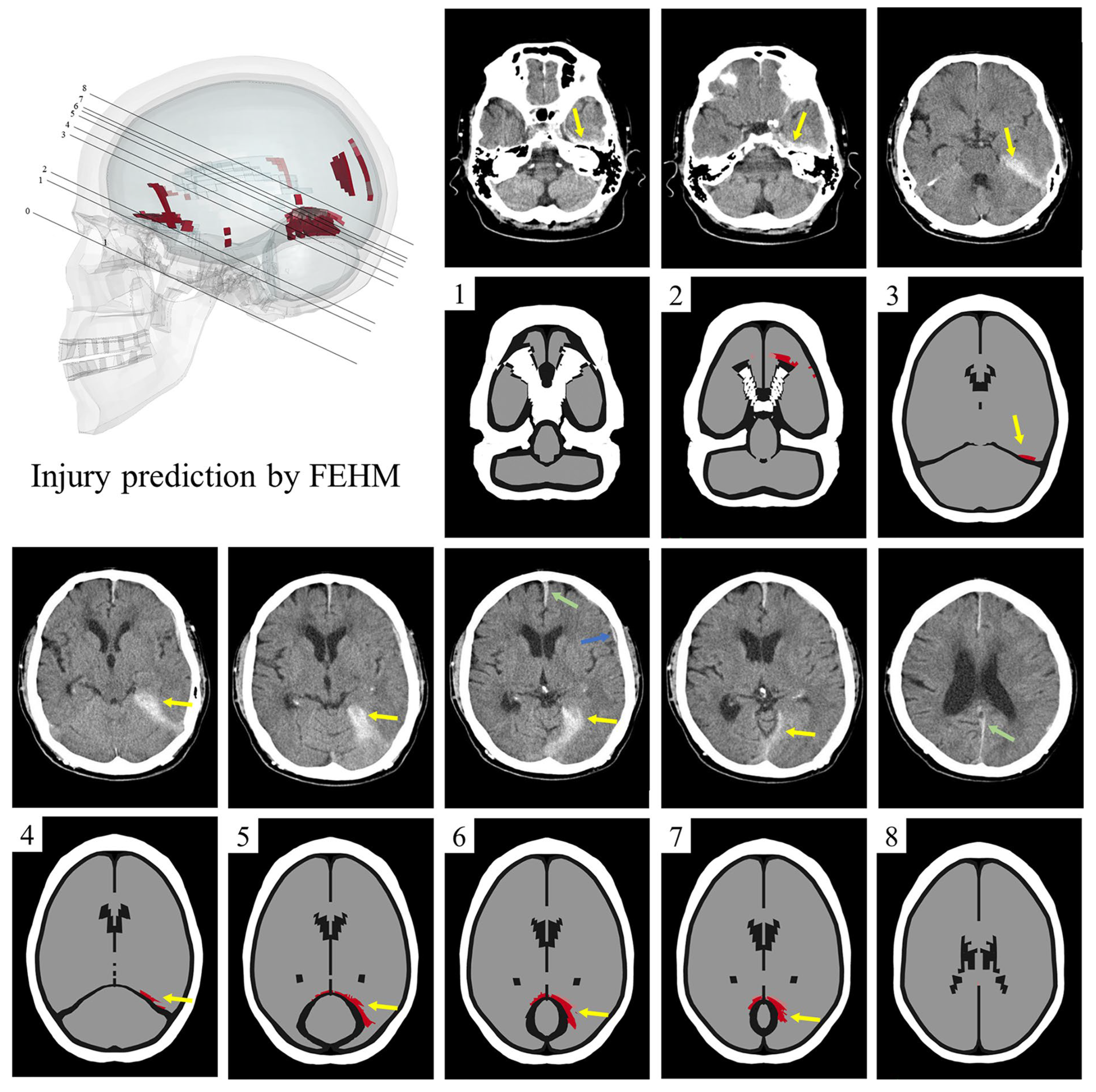 Bioengineering 11 00918 g007 Bioengineering 11 00918 g007