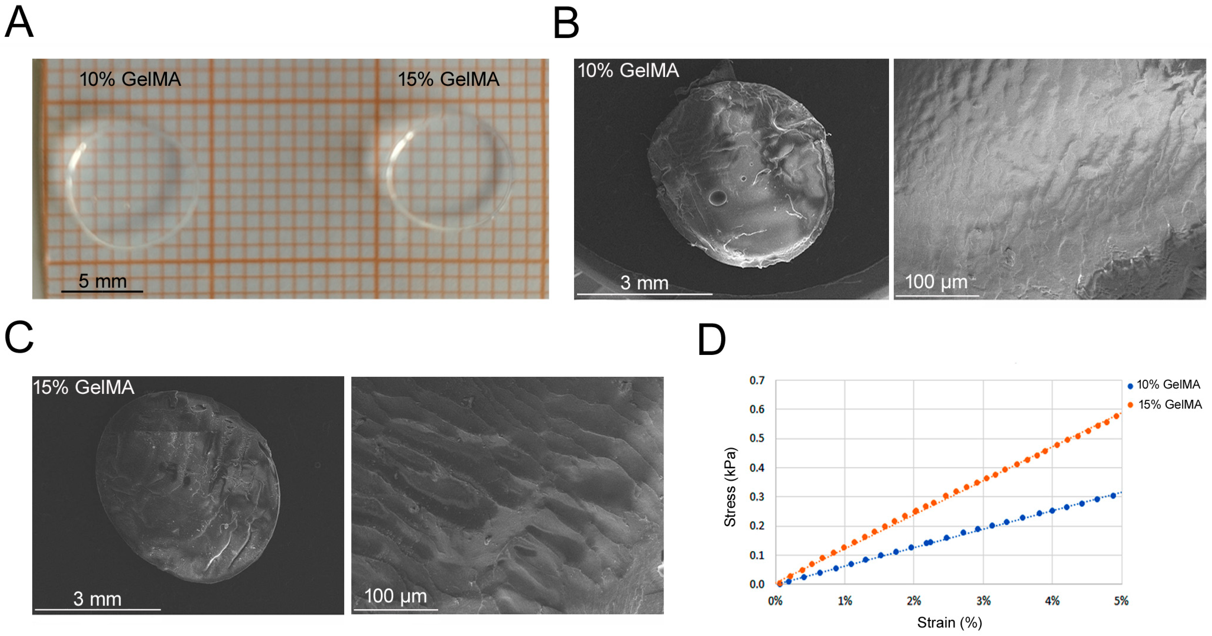 Bioengineering 11 00920 g001