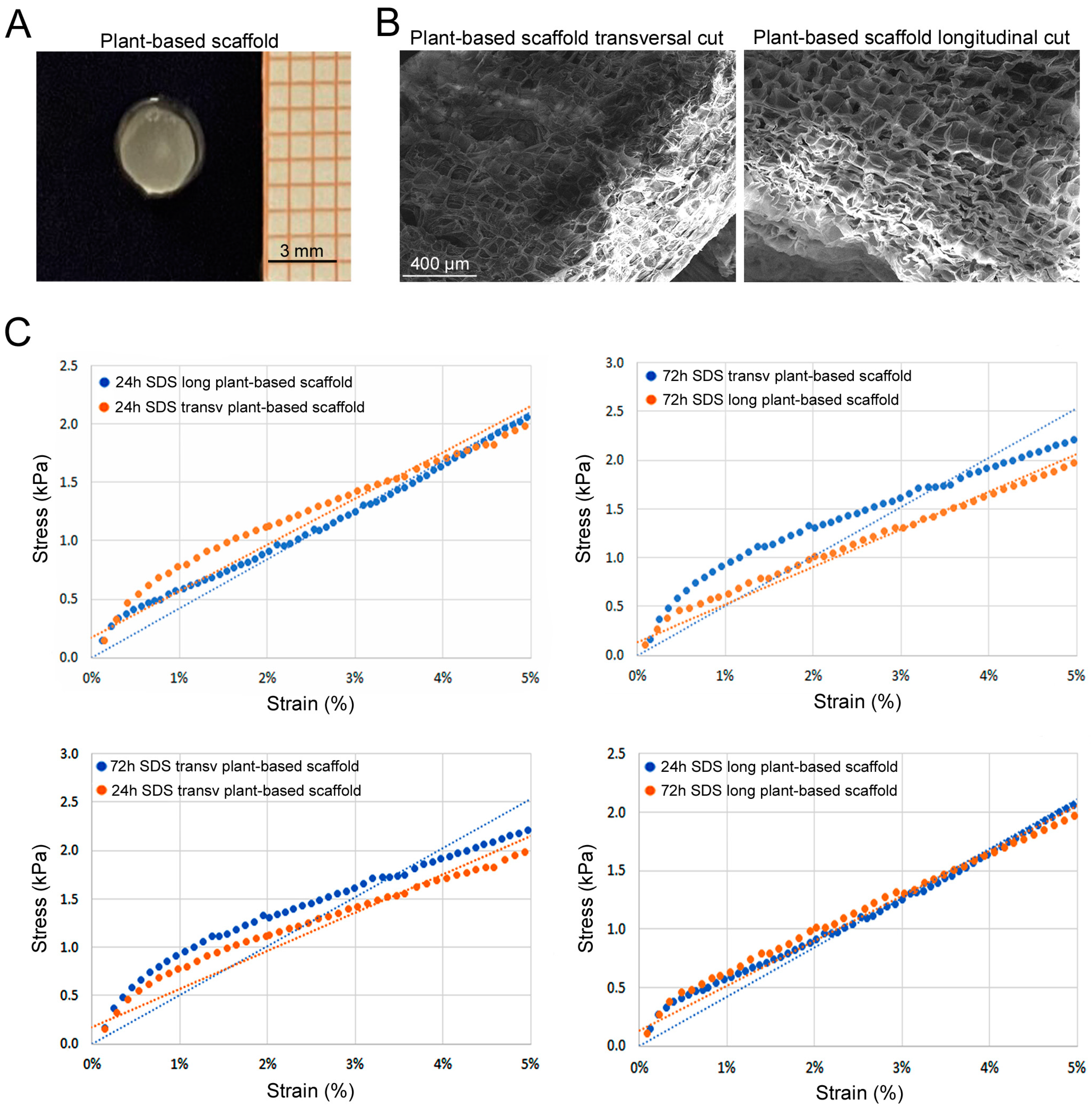 Bioengineering 11 00920 g003