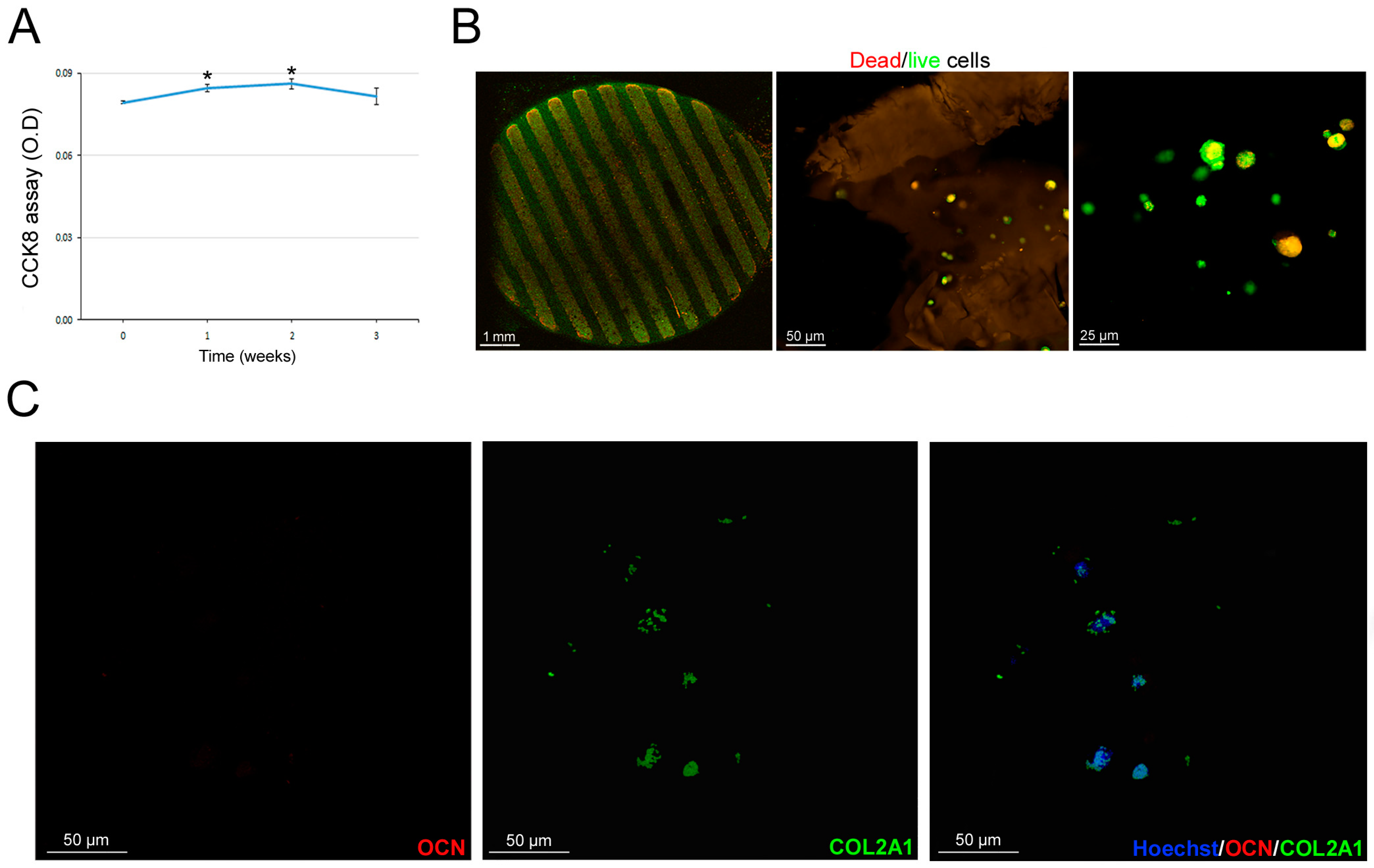 Bioengineering 11 00920 g007