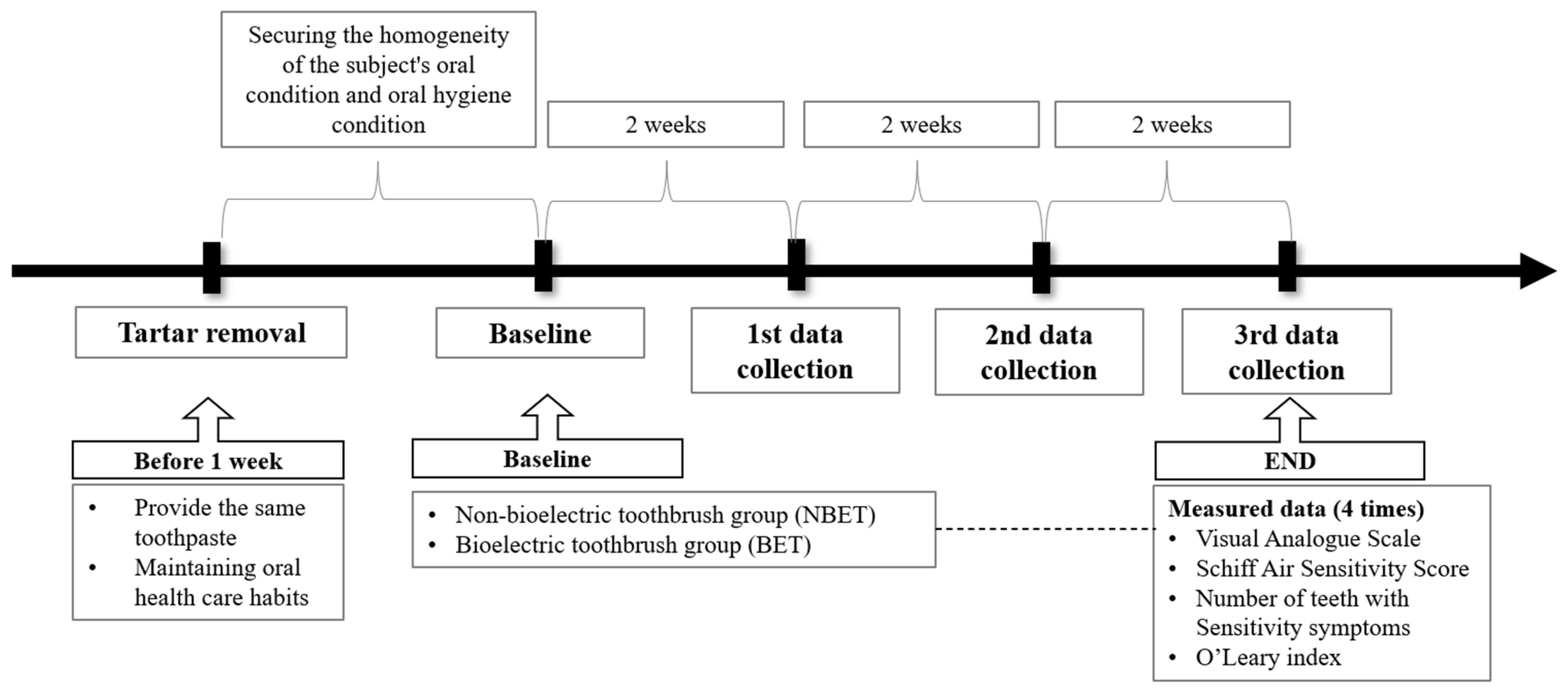 Bioengineering 11 00923 g003
