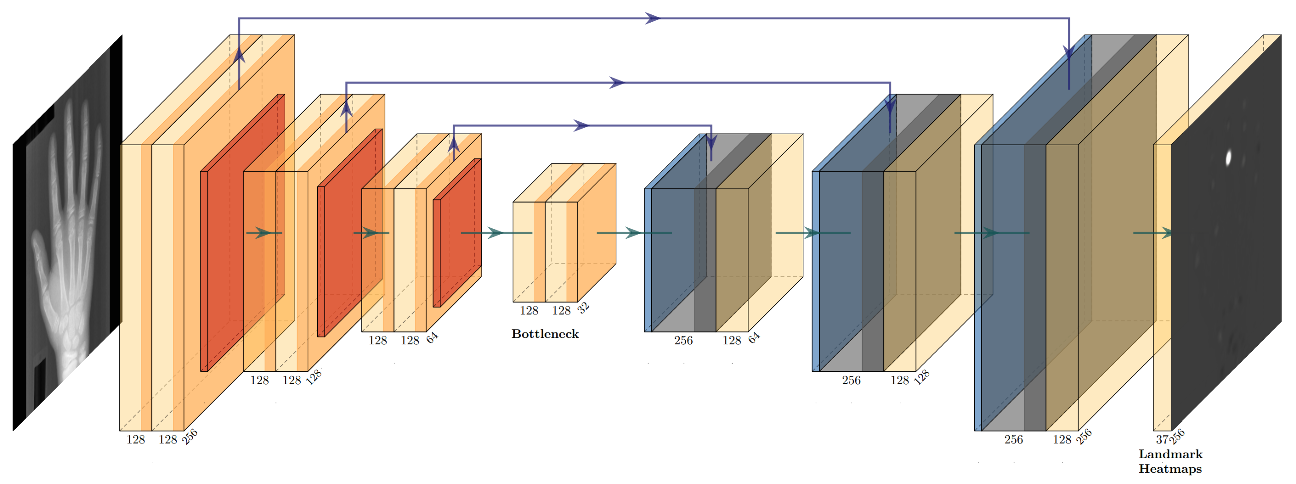 Bioengineering 11 00932 g001