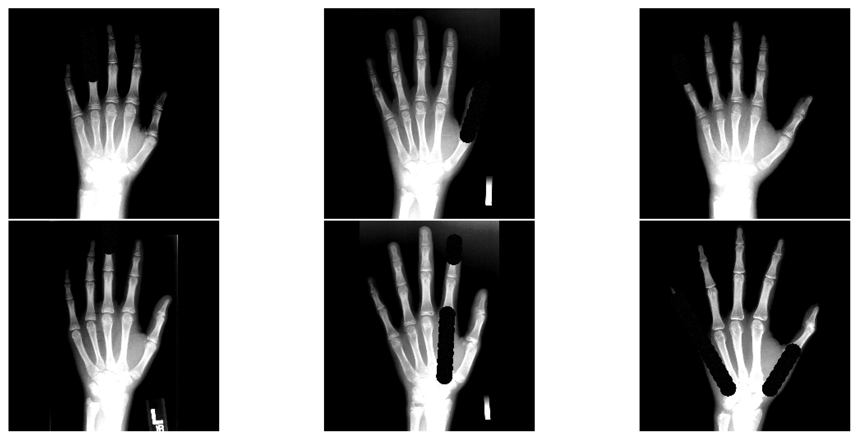 Bioengineering 11 00932 g006