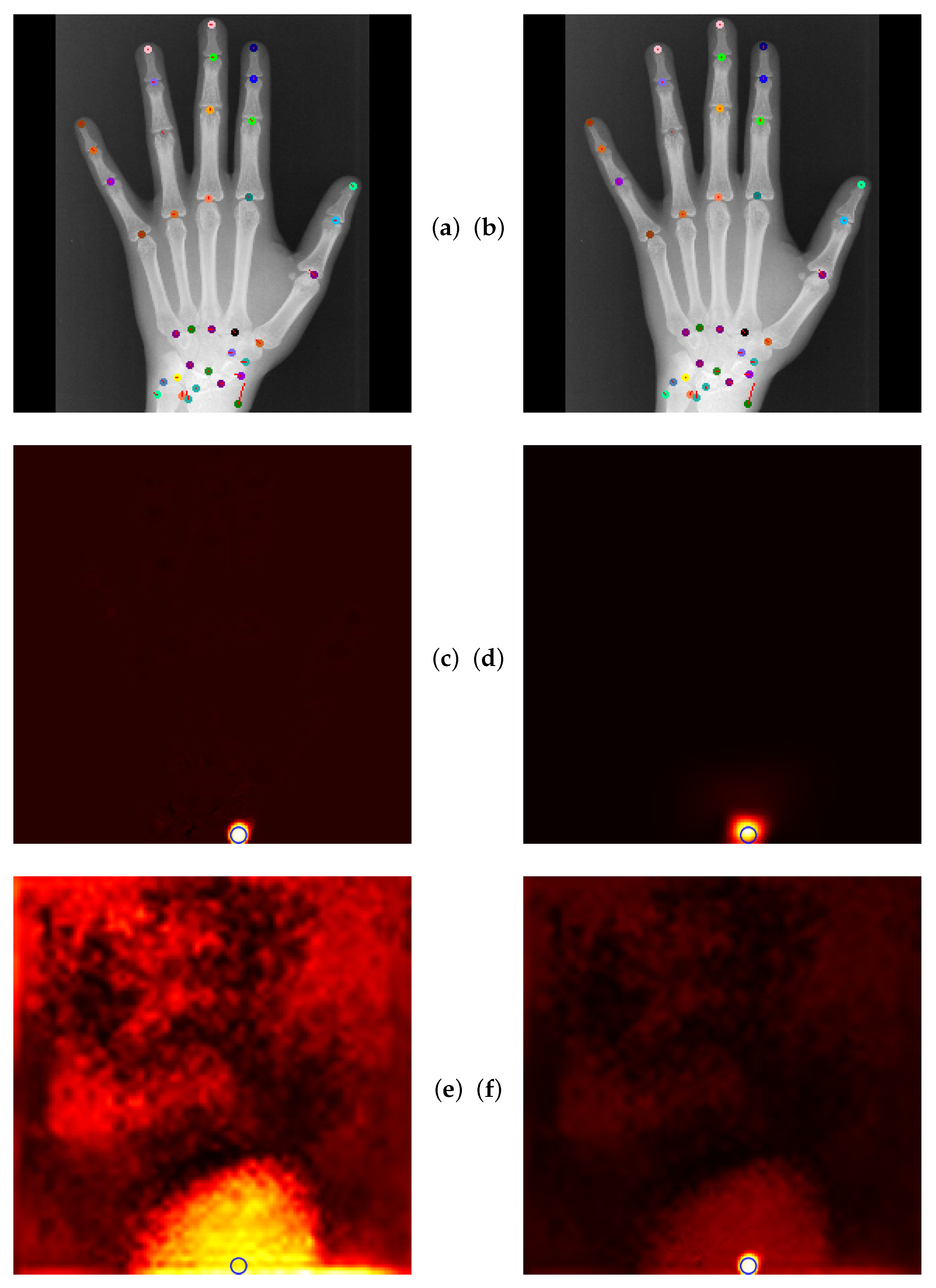 Bioengineering 11 00932 g007