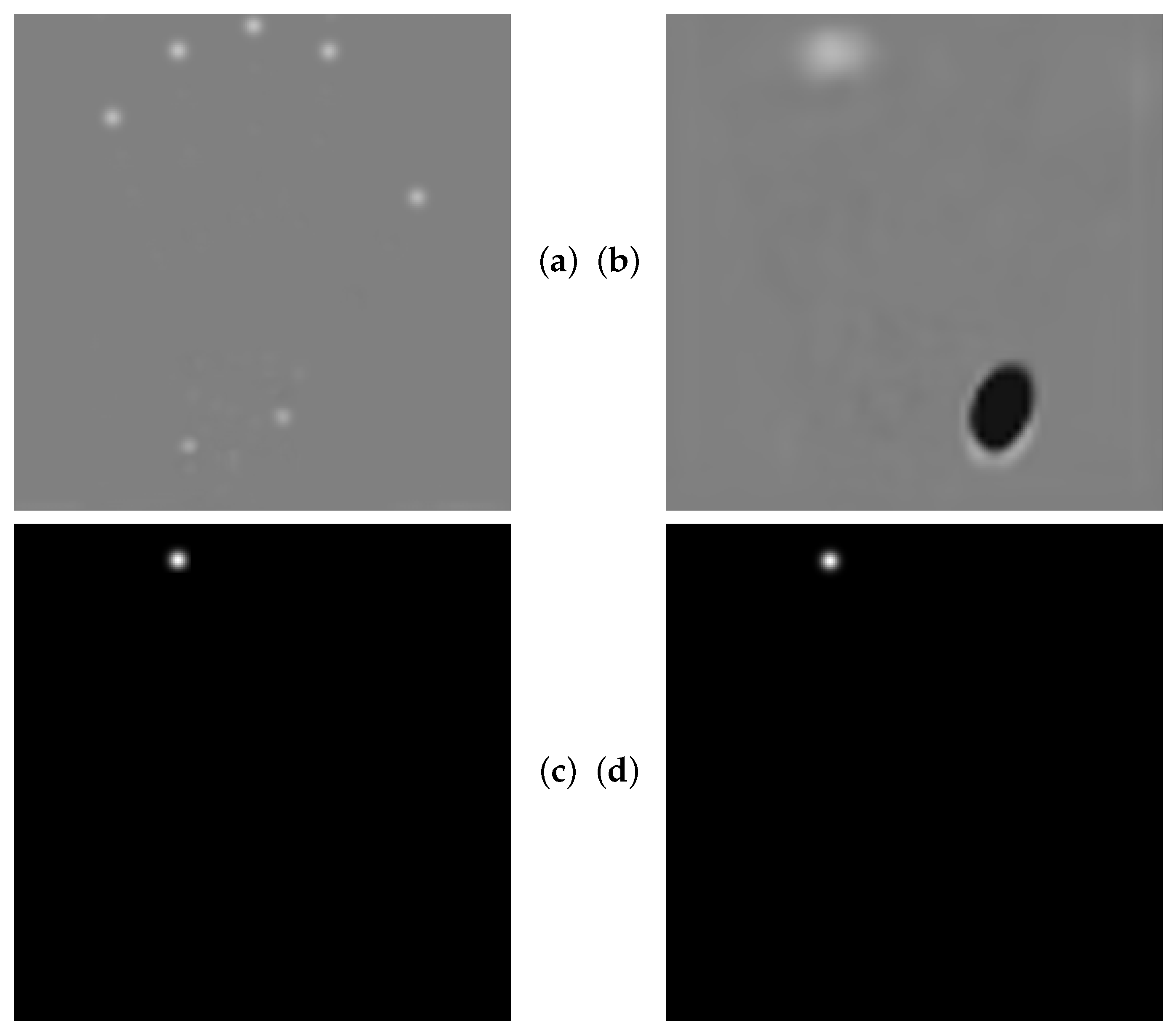 Bioengineering 11 00932 g010