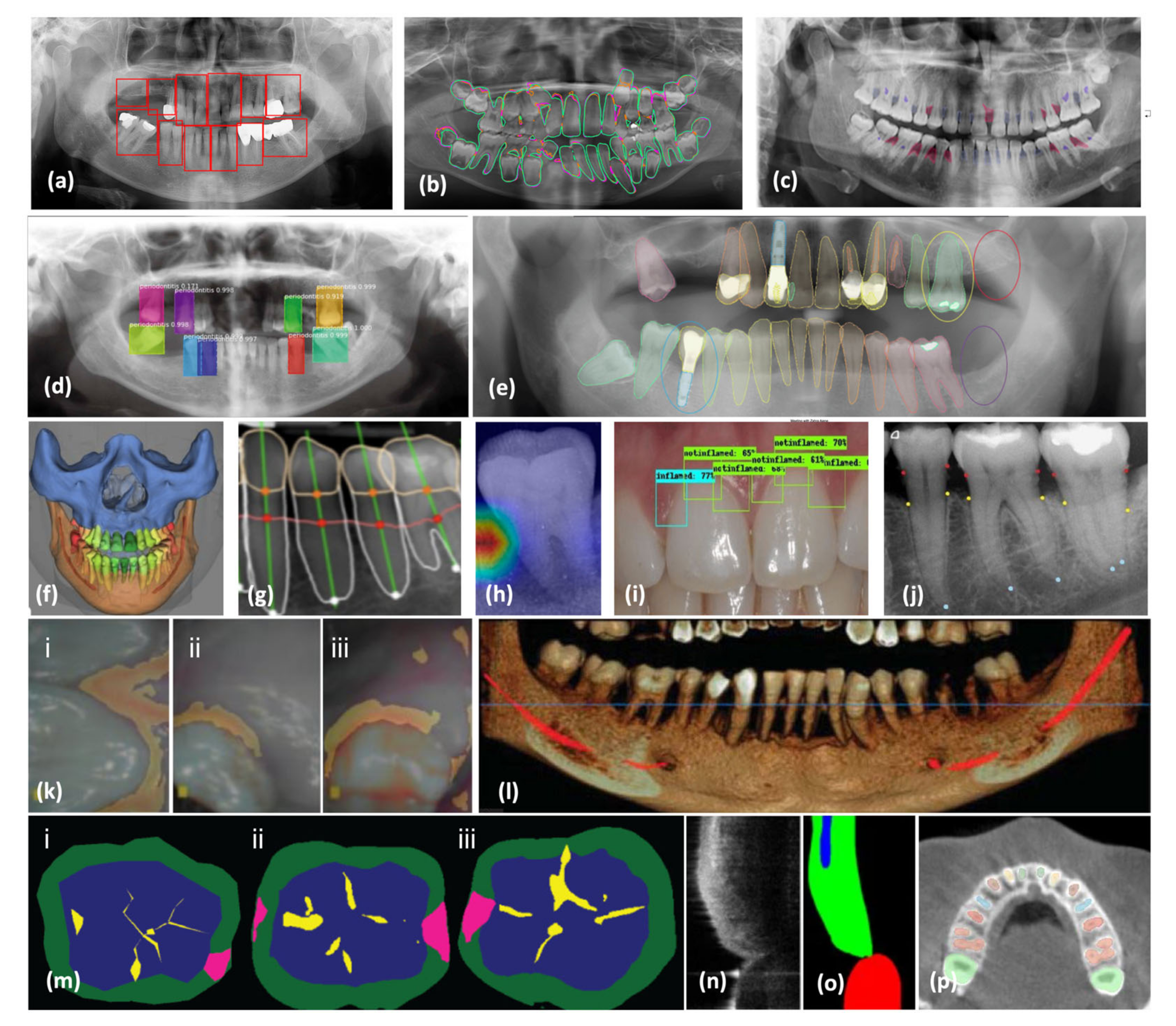 Bioengineering 11 00937 g003