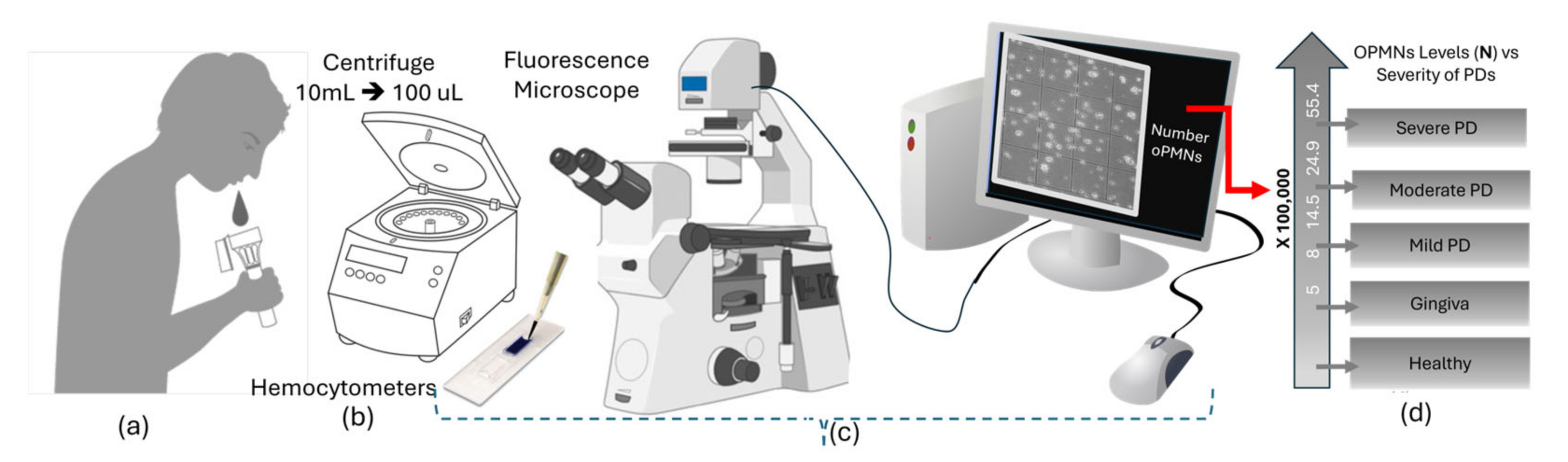 Bioengineering 11 00937 g004