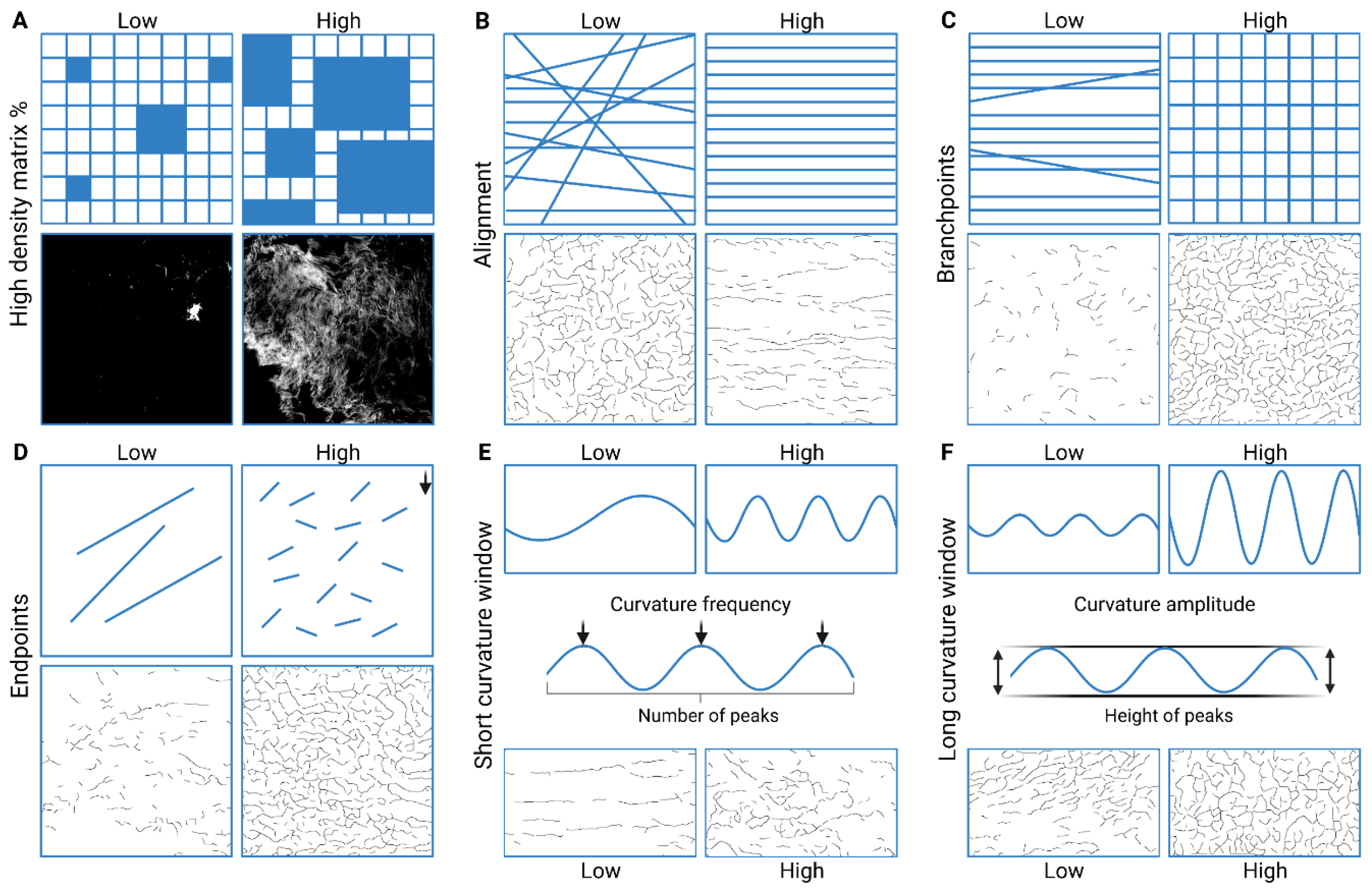 Bioengineering 11 00946 g003
