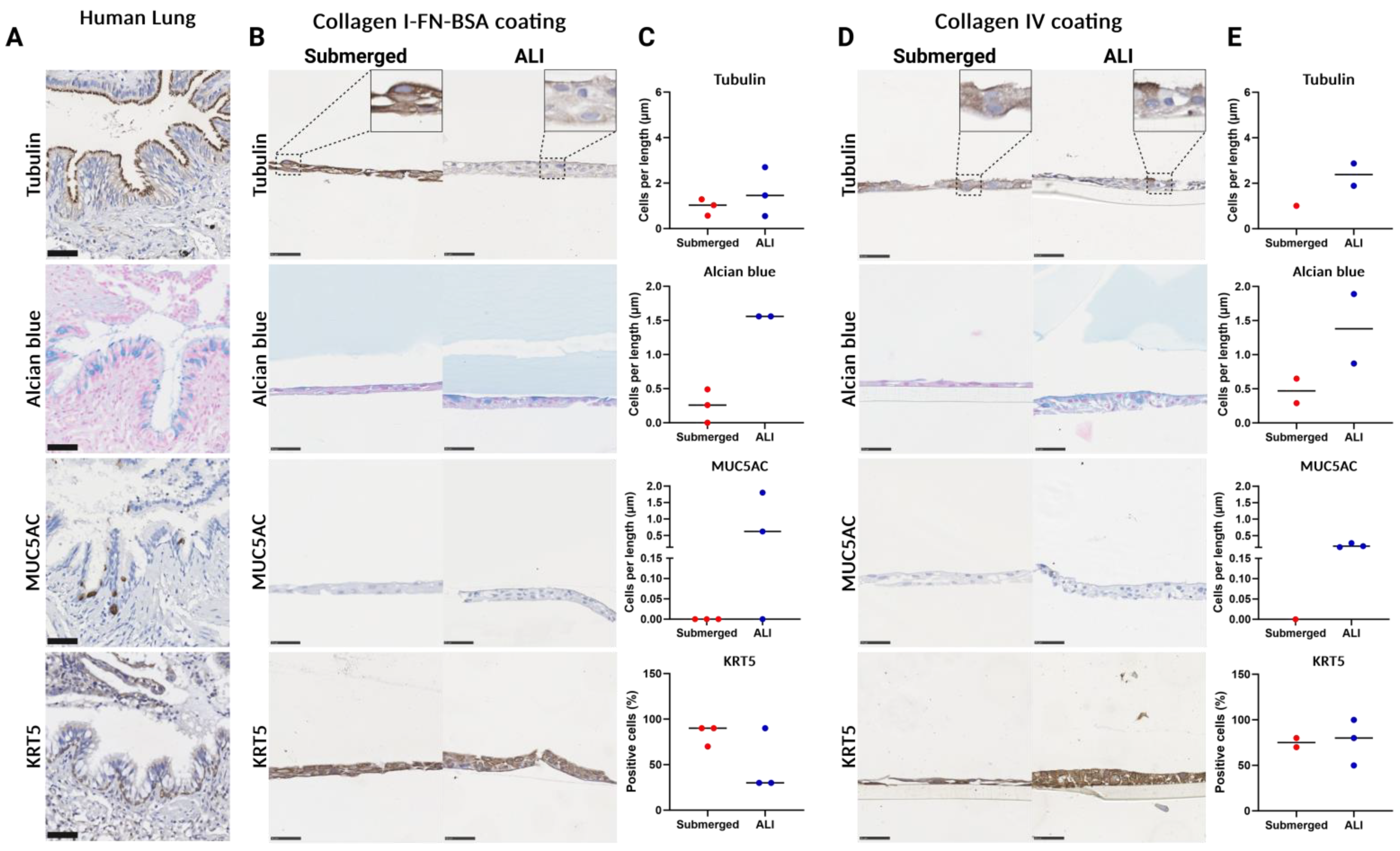 Bioengineering 11 00946 g008