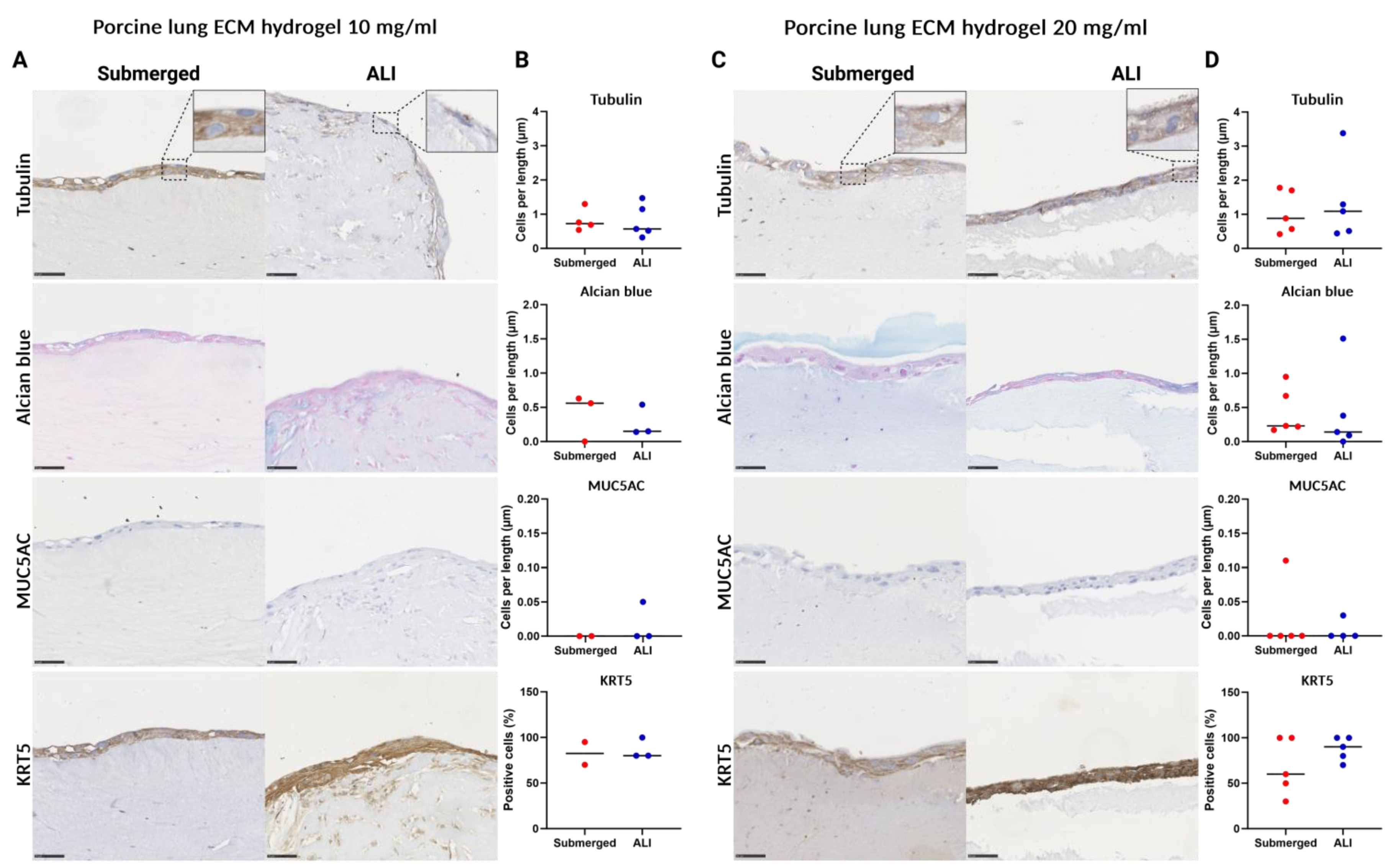 Bioengineering 11 00946 g009