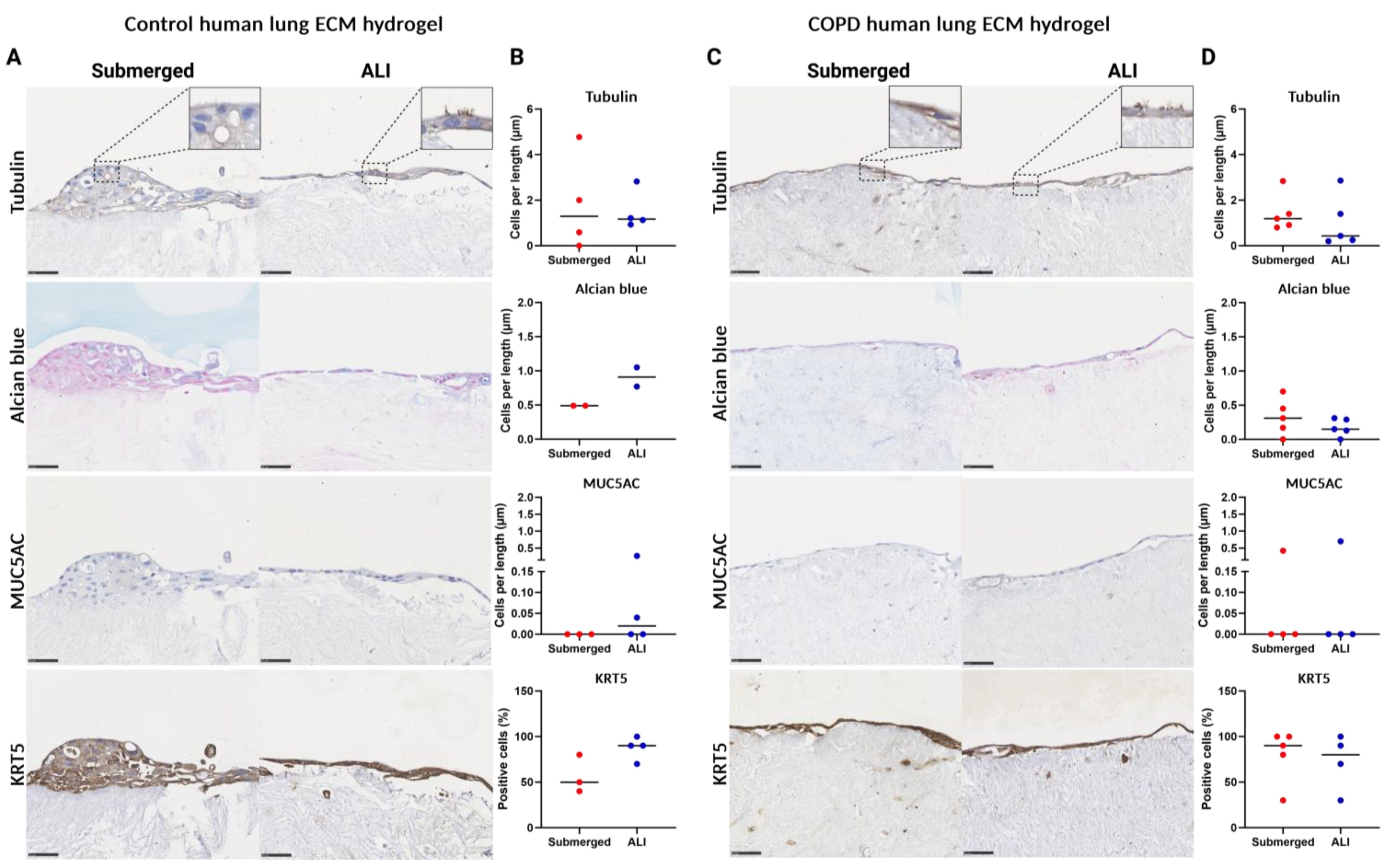 Bioengineering 11 00946 g011