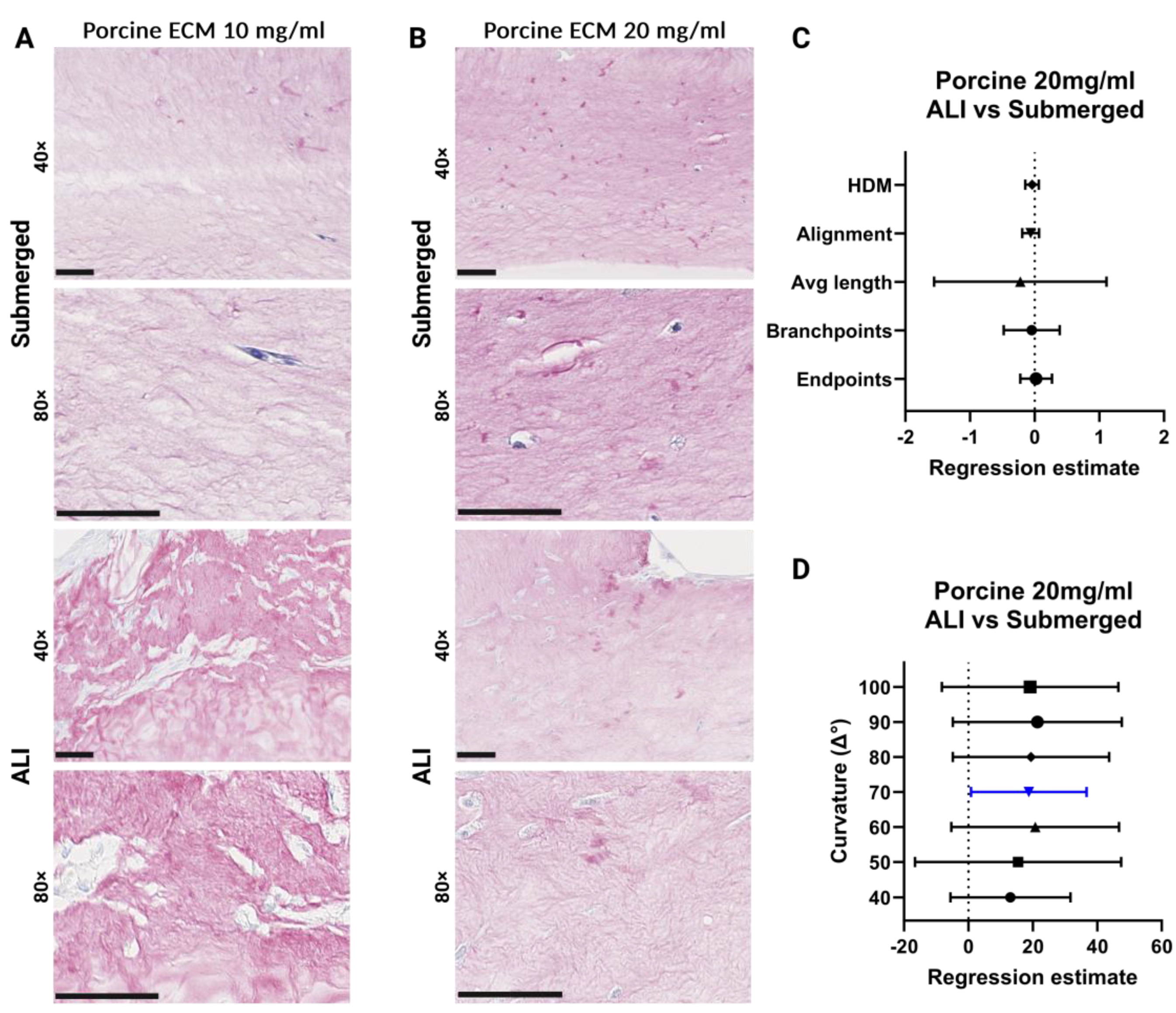 Bioengineering 11 00946 g012