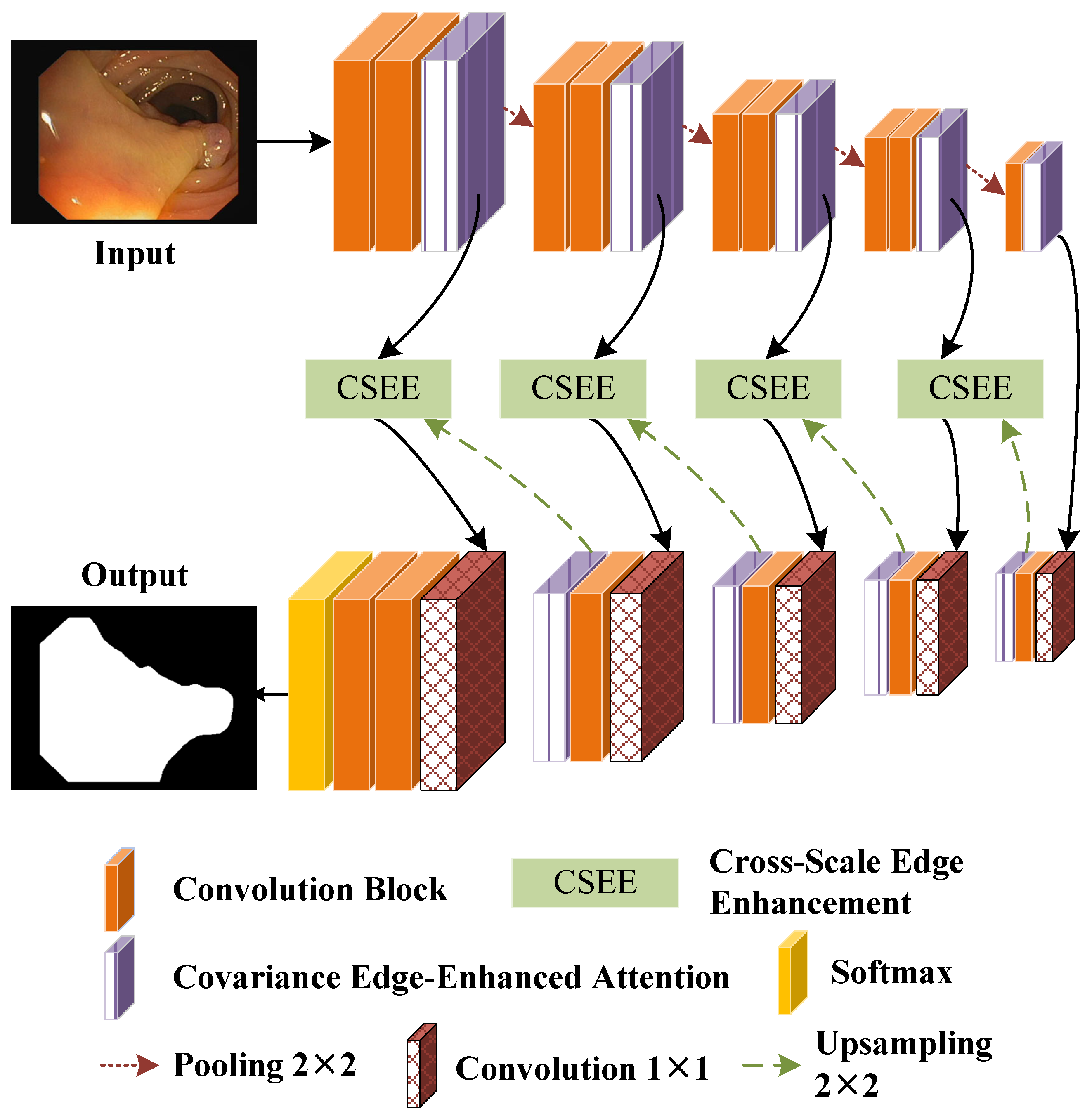 An Edge-Enhanced Network for Polyp Segmentation