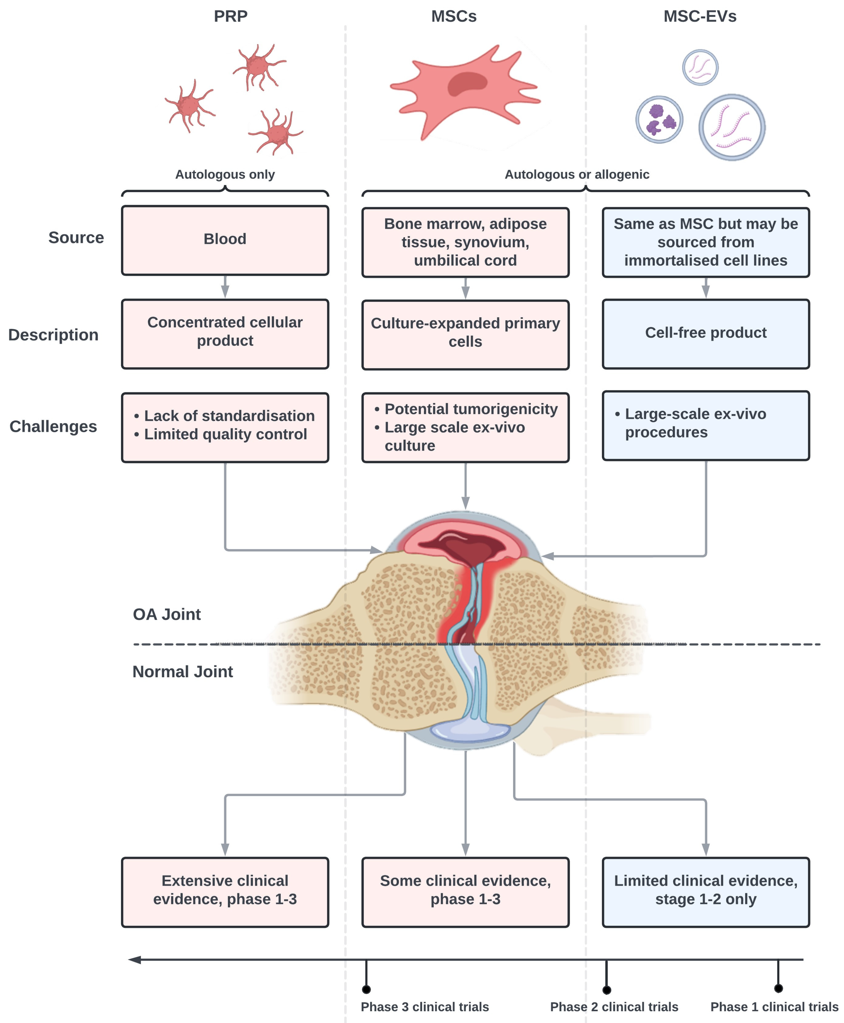 Bioengineering 11 00961 g001