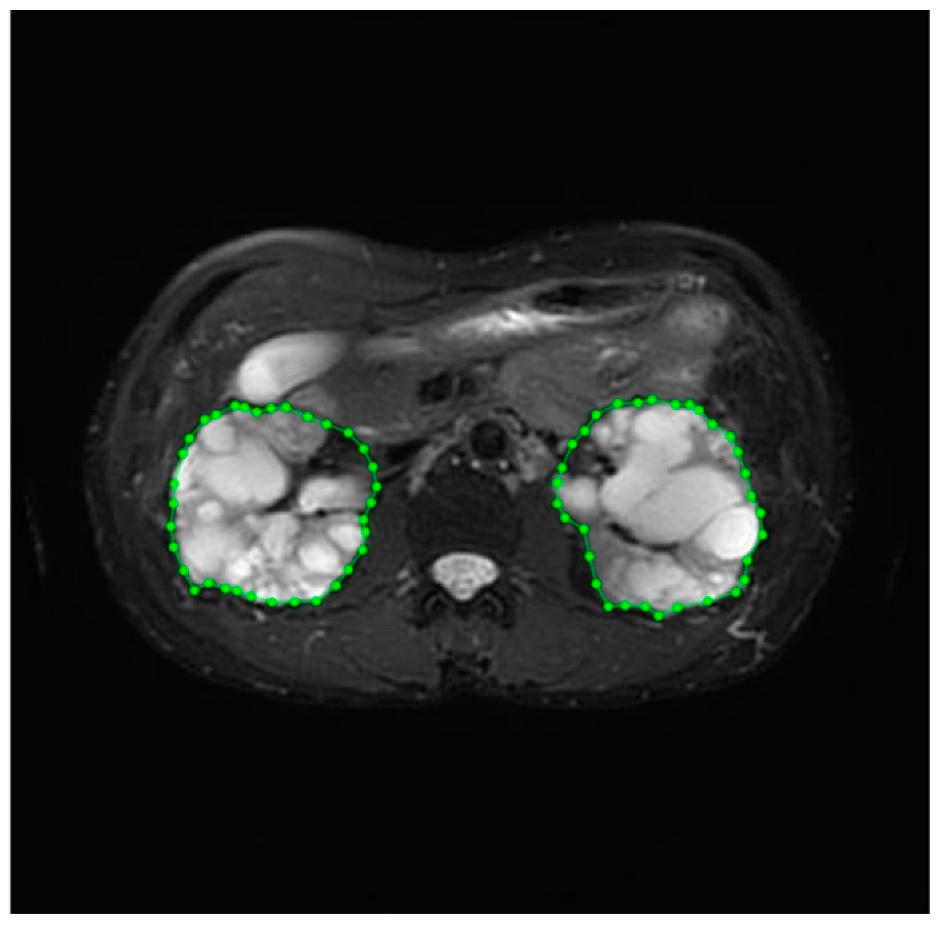 Bioengineering 11 00963 g002 Bioengineering 11 00963 g002