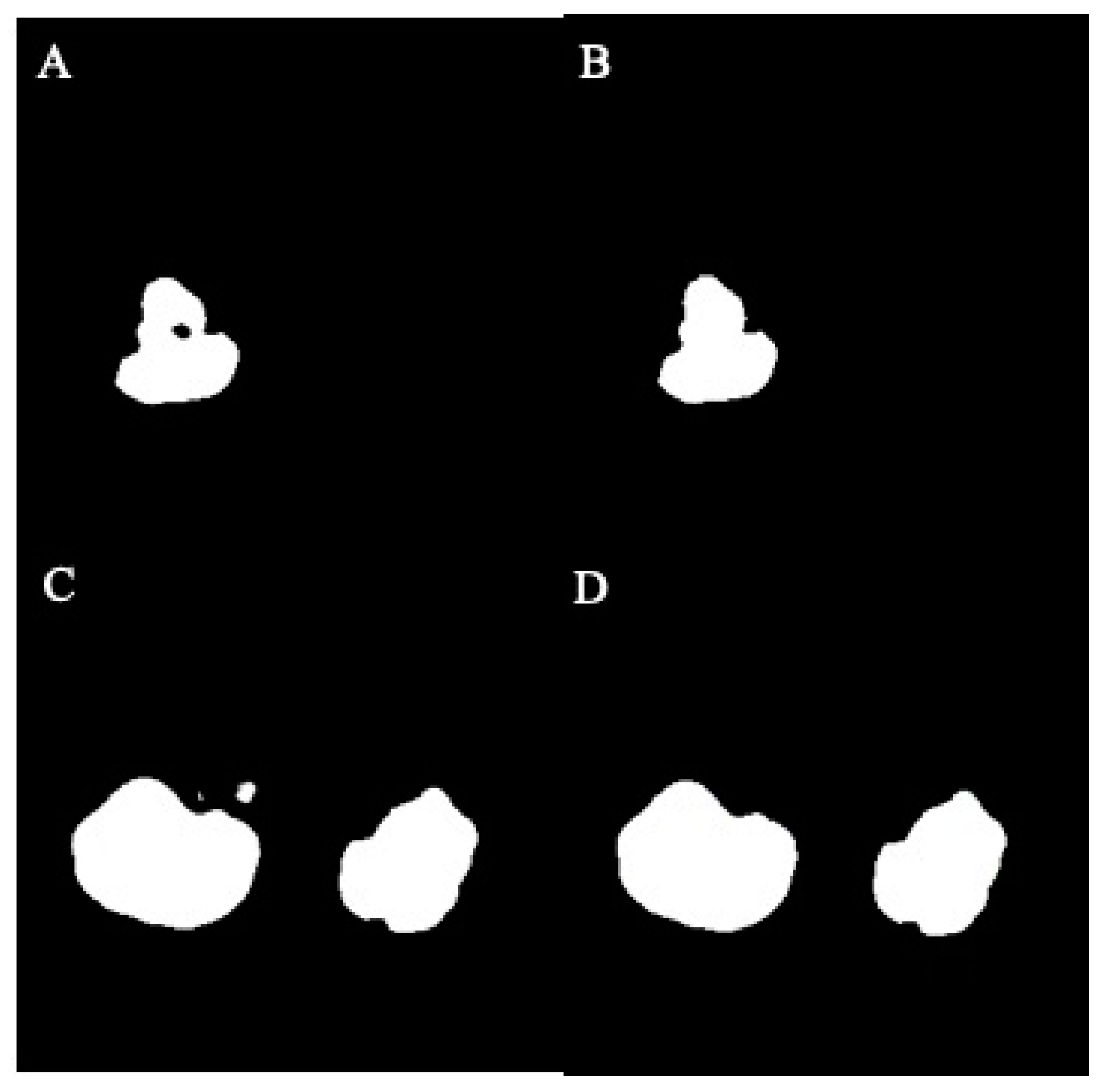 Bioengineering 11 00963 g004 Bioengineering 11 00963 g004