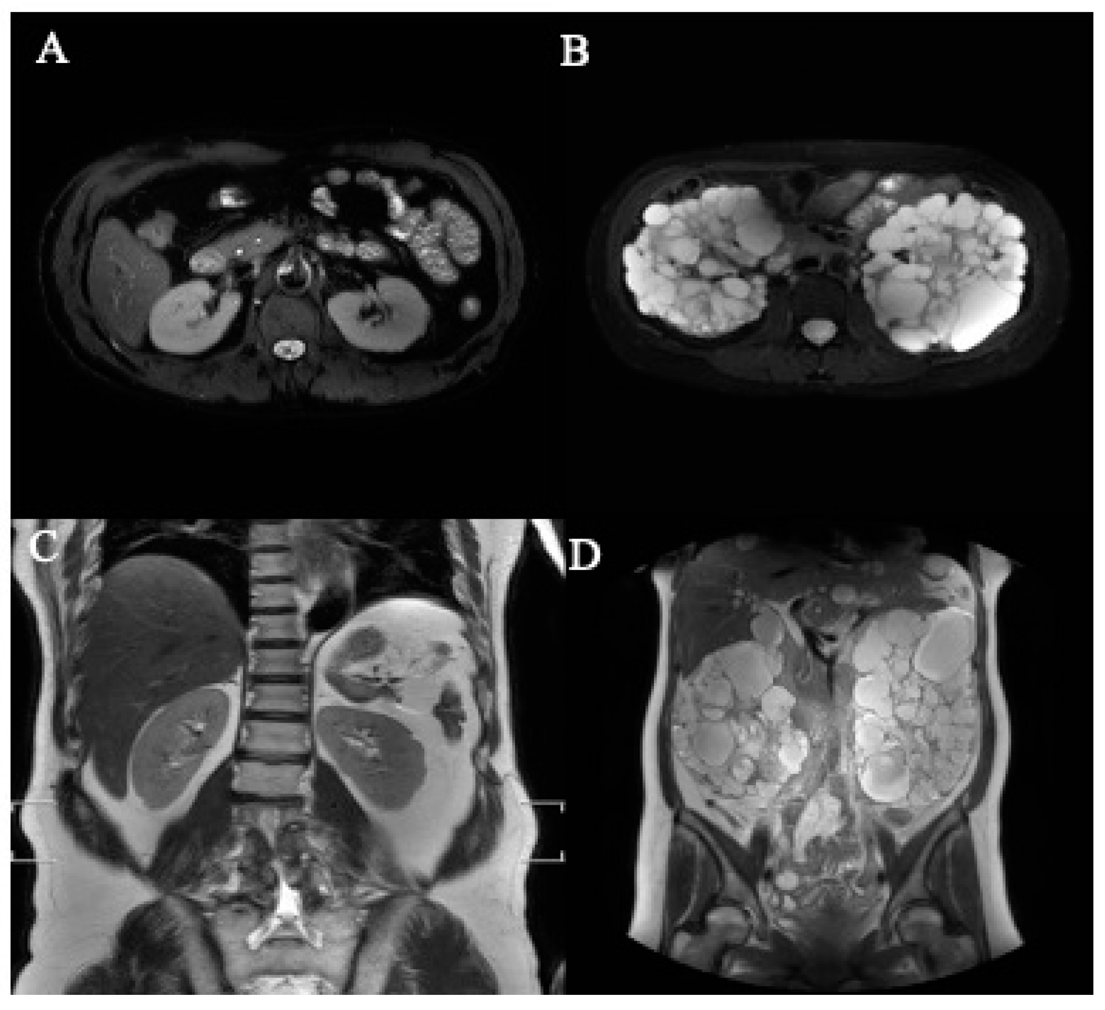 Bioengineering 11 00963 g005 Bioengineering 11 00963 g005