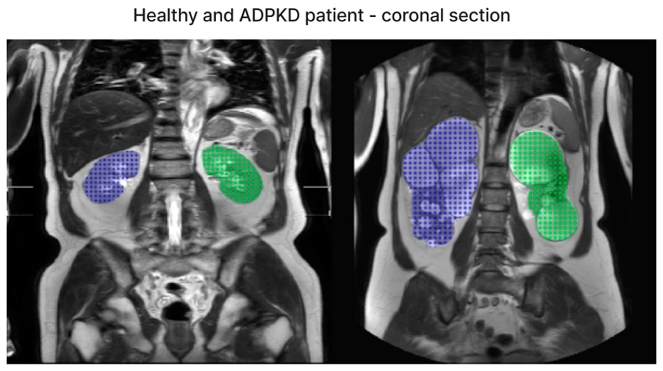 Bioengineering 11 00963 g007 Bioengineering 11 00963 g007