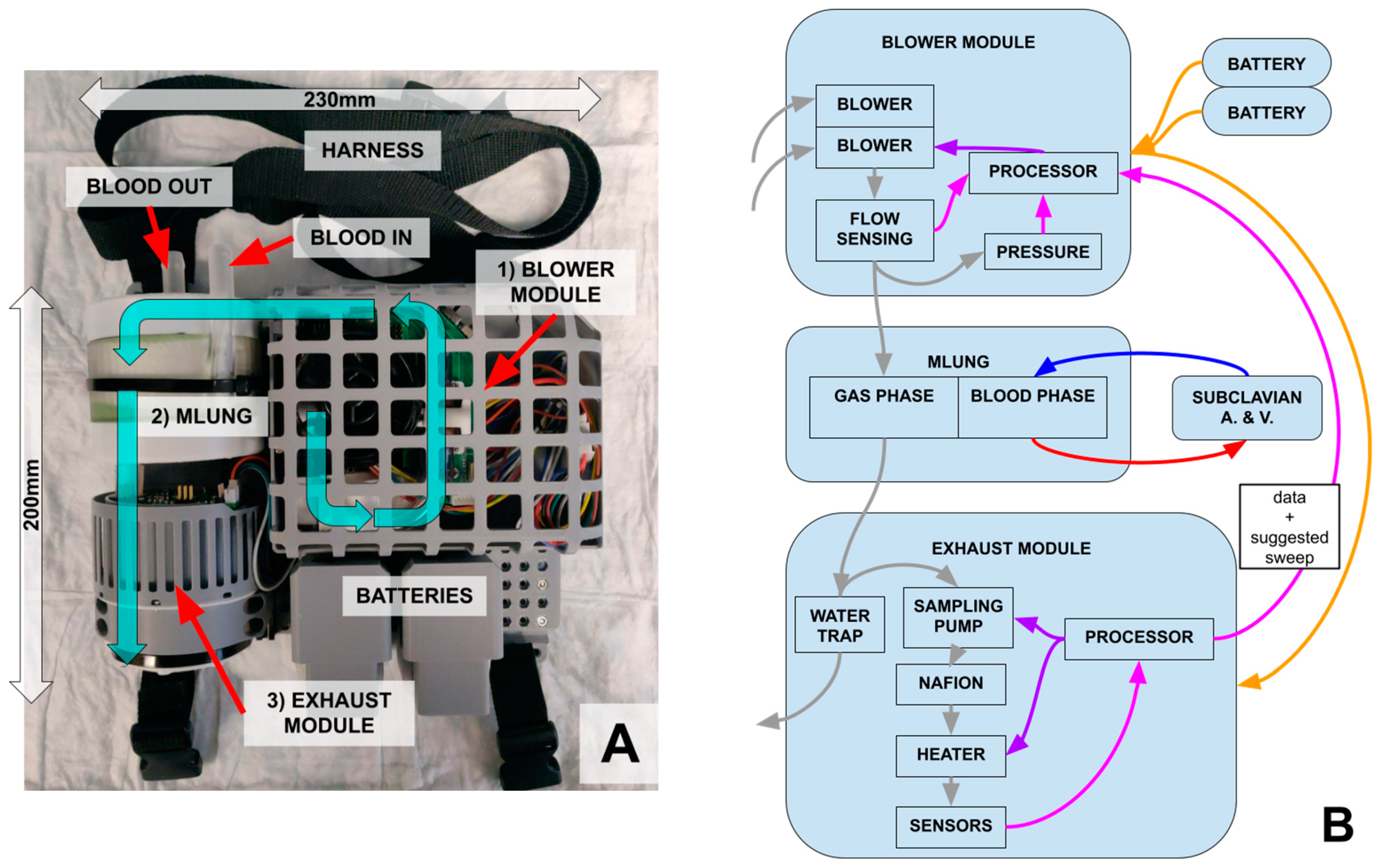 Bioengineering 11 00969 g003