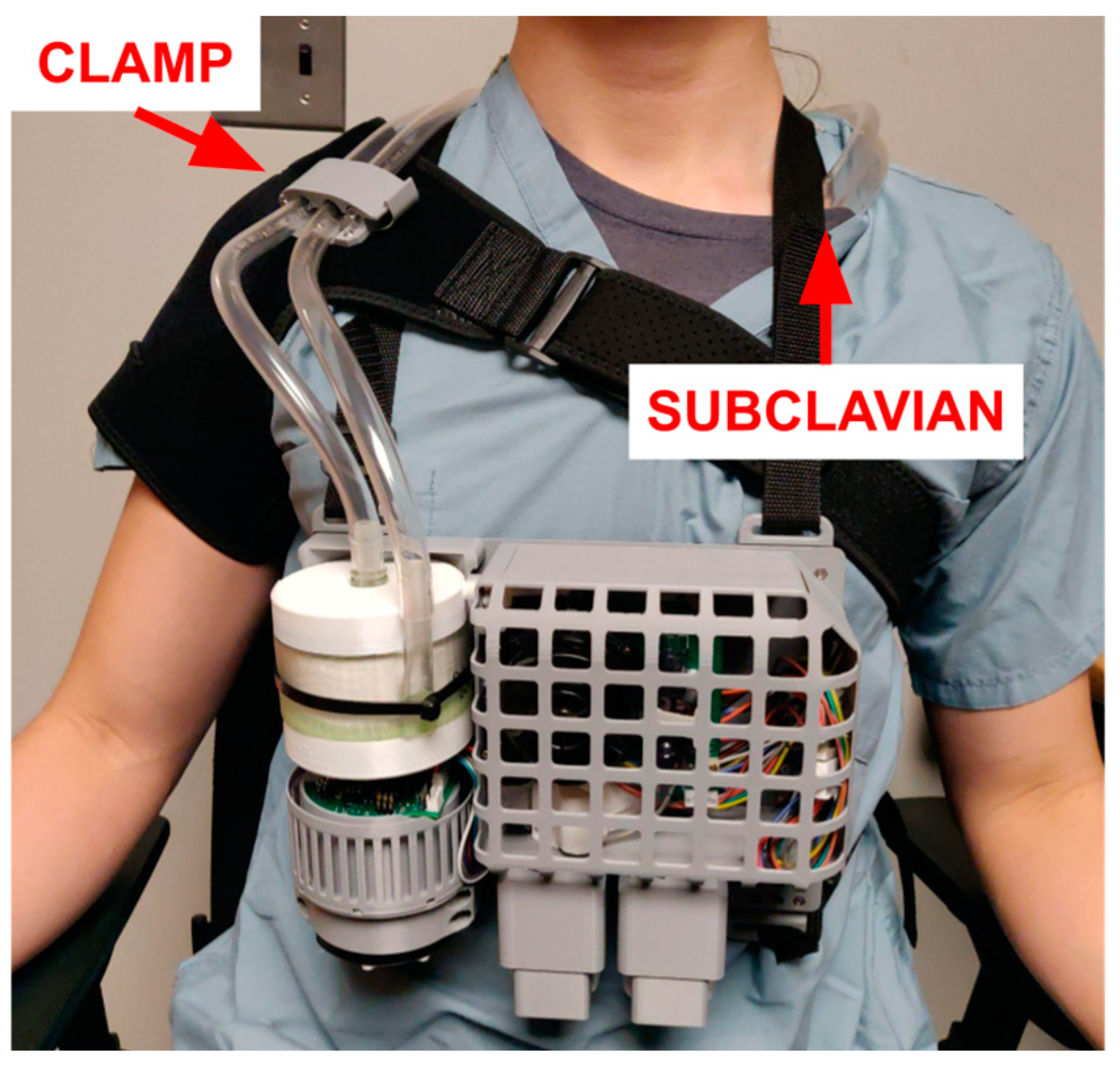 Bioengineering 11 00969 g006