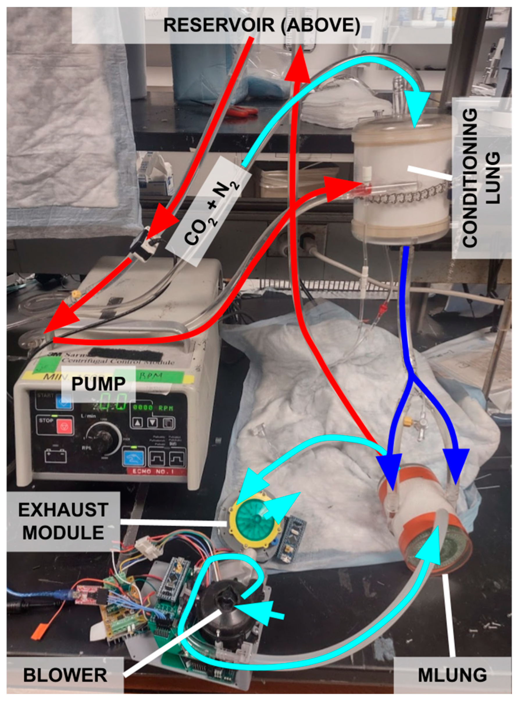 Bioengineering 11 00969 g008
