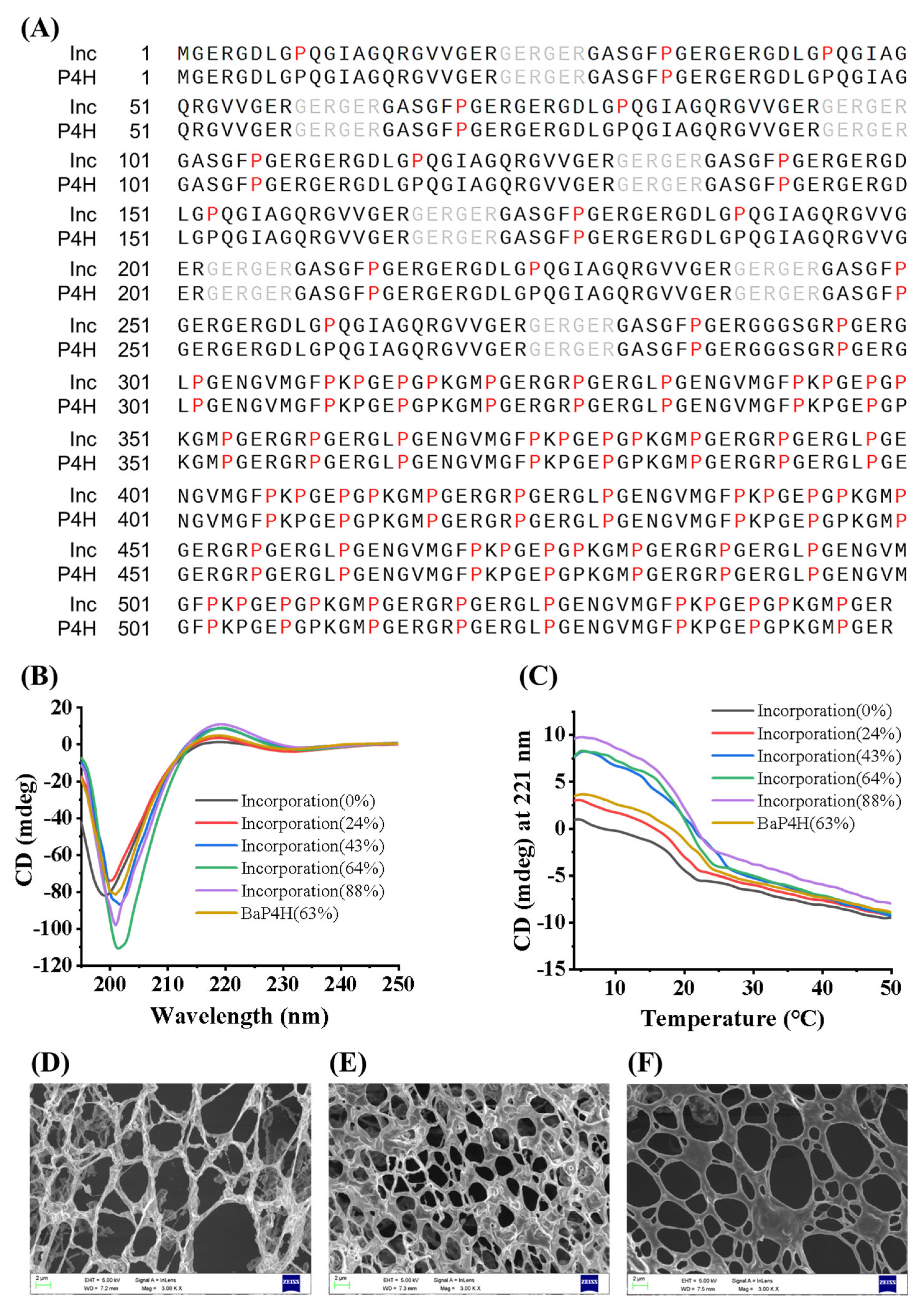 Bioengineering 11 00975 g004