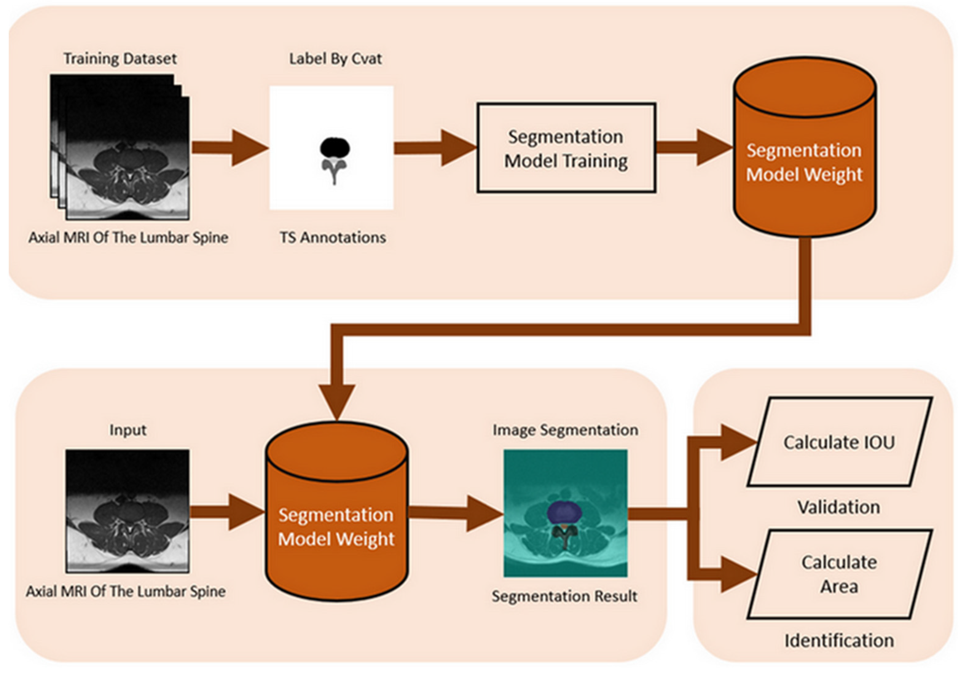 Bioengineering 11 00981 g004