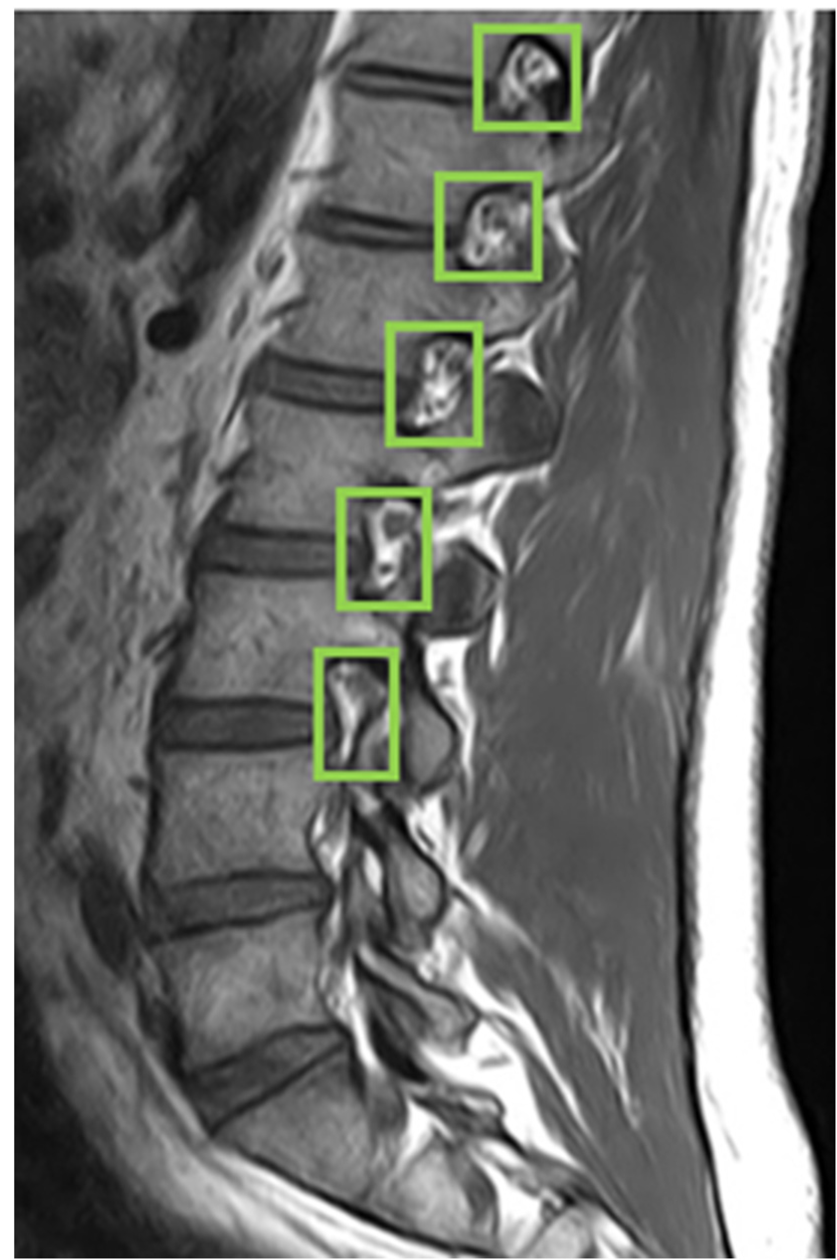 Bioengineering 11 00981 g006