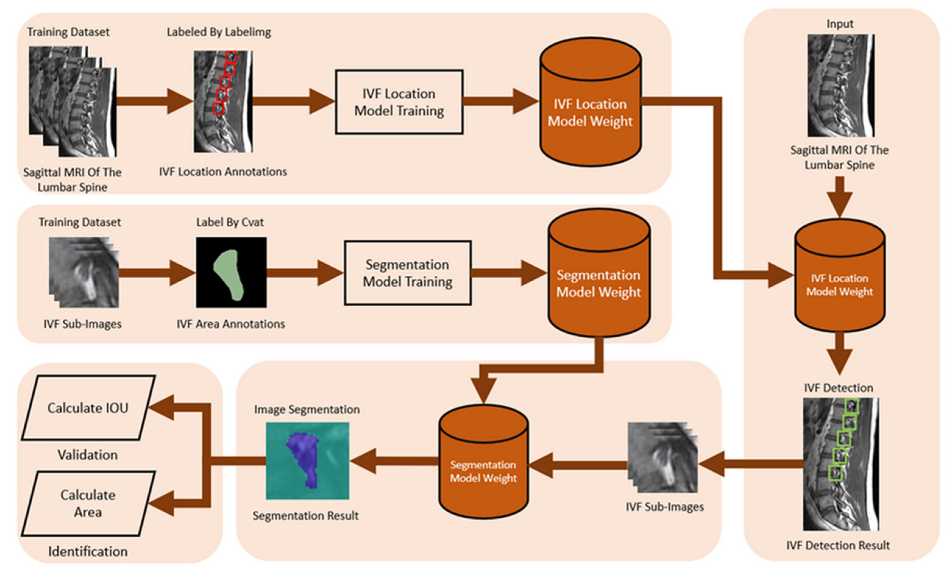 Bioengineering 11 00981 g007