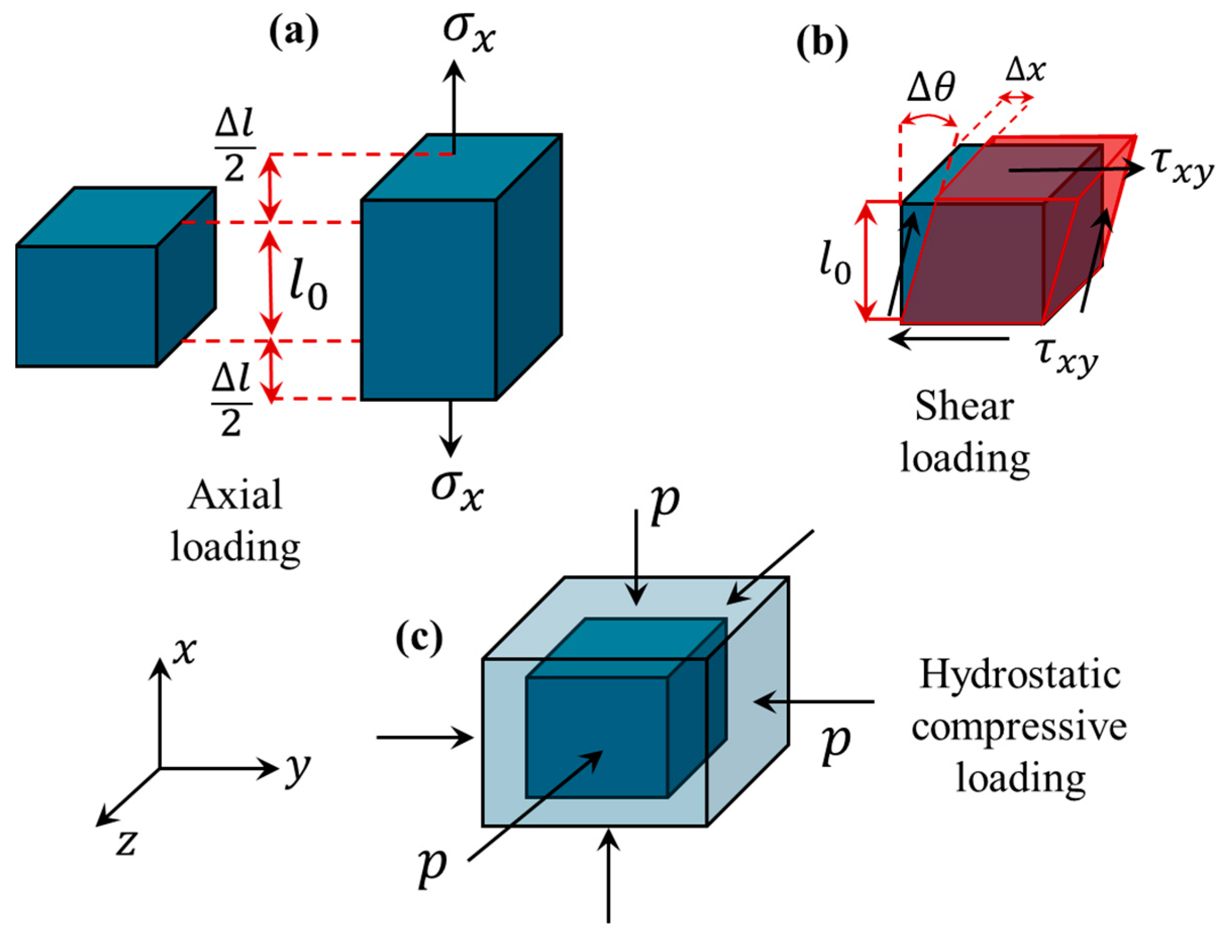 Bioengineering 11 00991 g001 Bioengineering 11 00991 g001