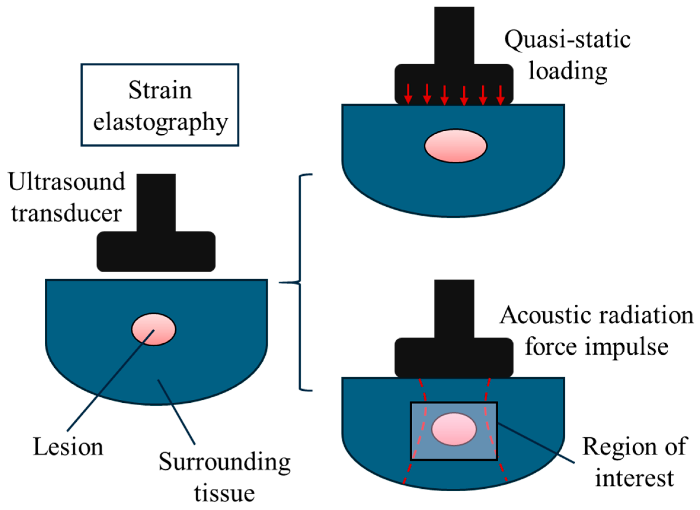 Bioengineering 11 00991 g002 Bioengineering 11 00991 g002