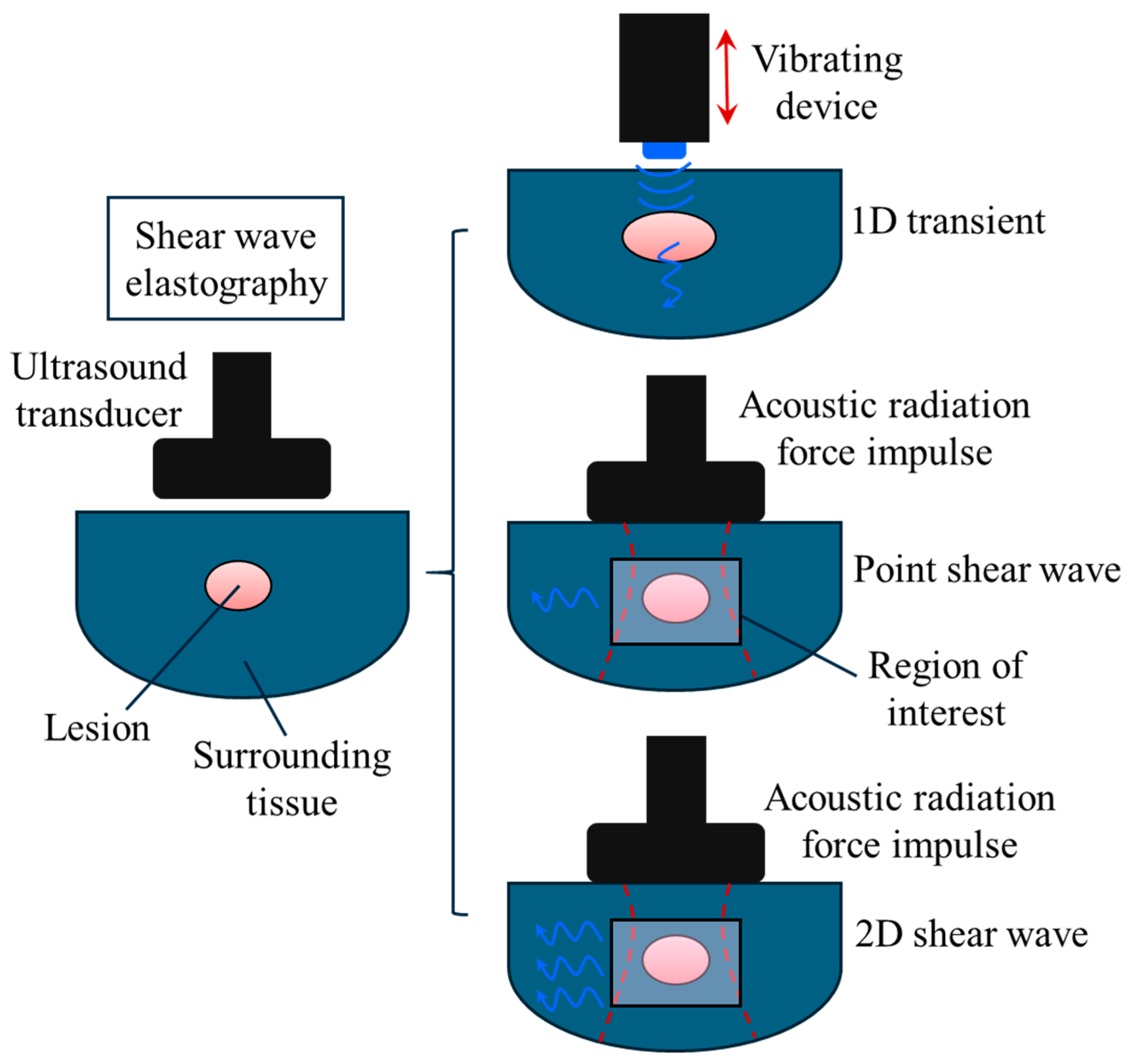 Bioengineering 11 00991 g003 Bioengineering 11 00991 g003