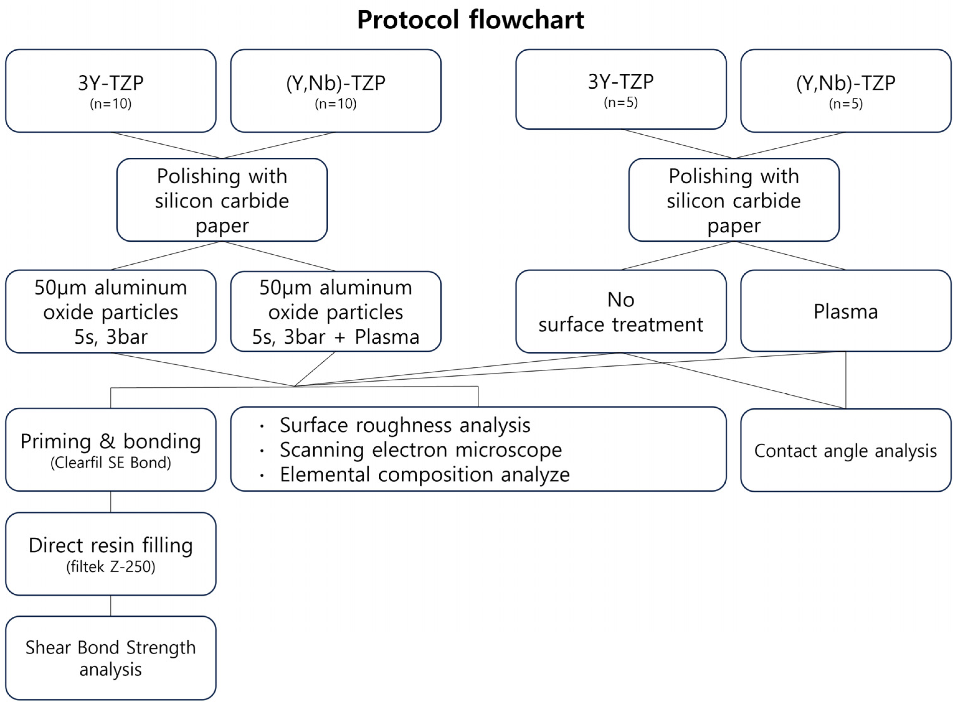 Bioengineering 11 01003 g001 Bioengineering 11 01003 g001