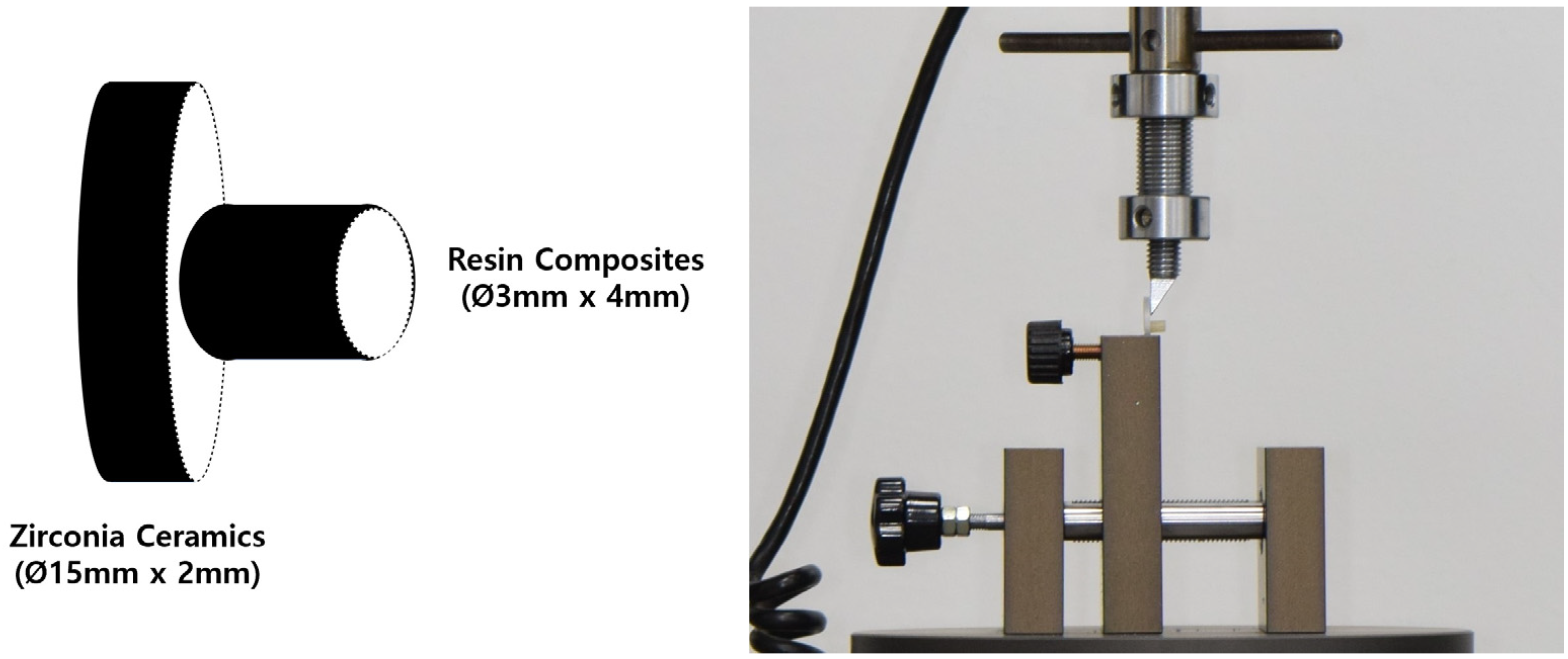 Bioengineering 11 01003 g004 Bioengineering 11 01003 g004