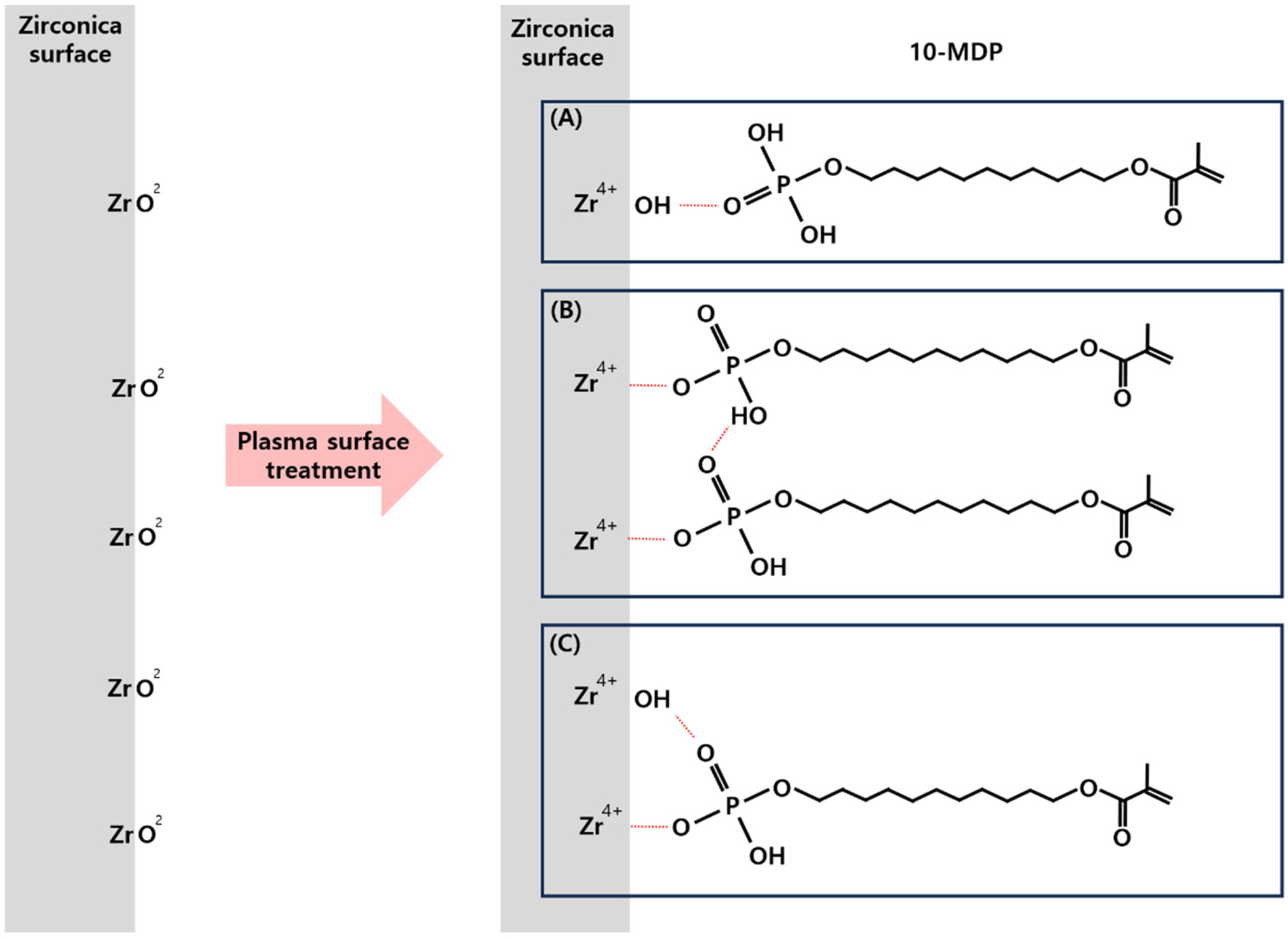 Bioengineering 11 01003 g010 Bioengineering 11 01003 g010