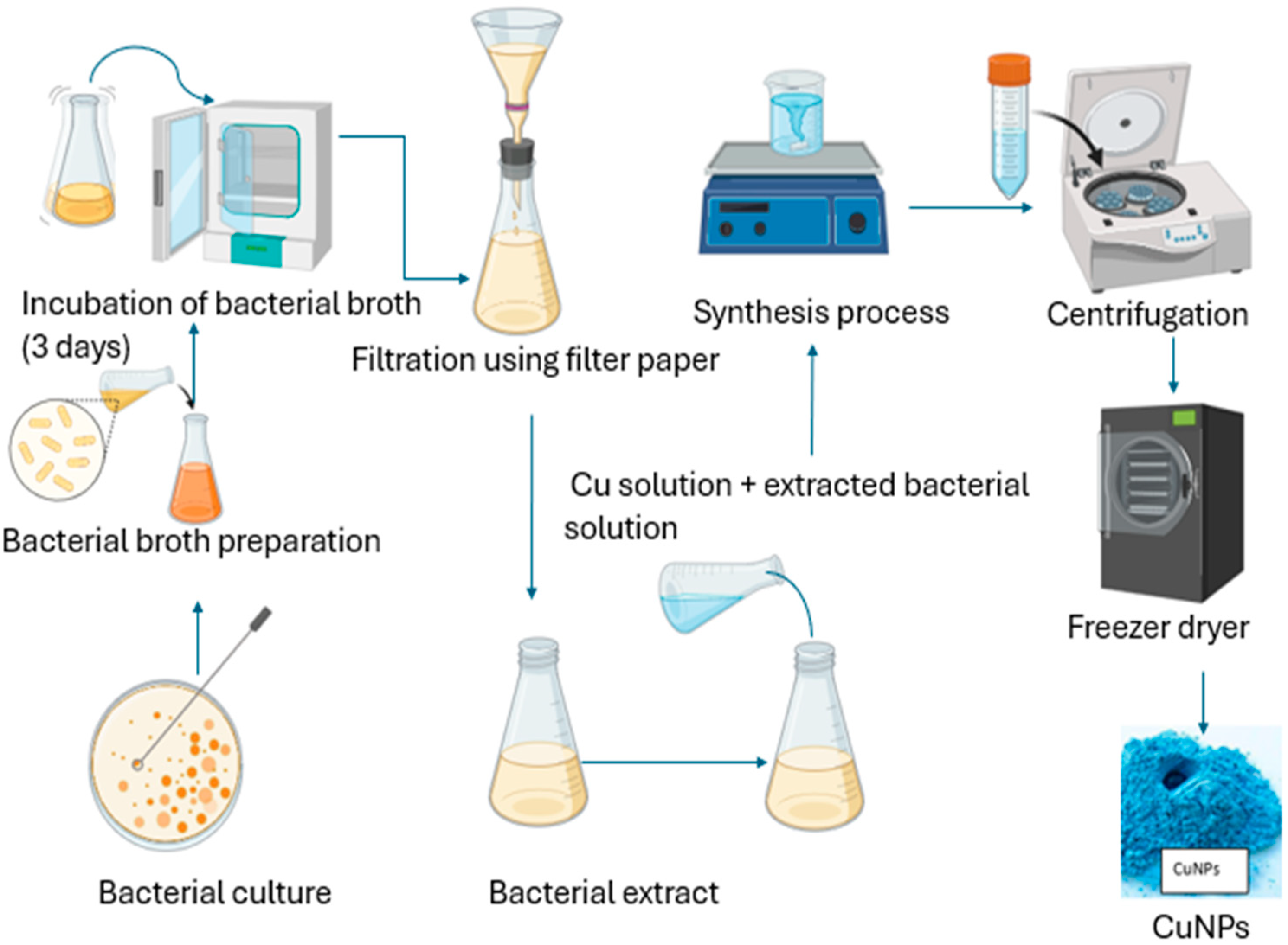 Bioengineering 11 01007 g002
