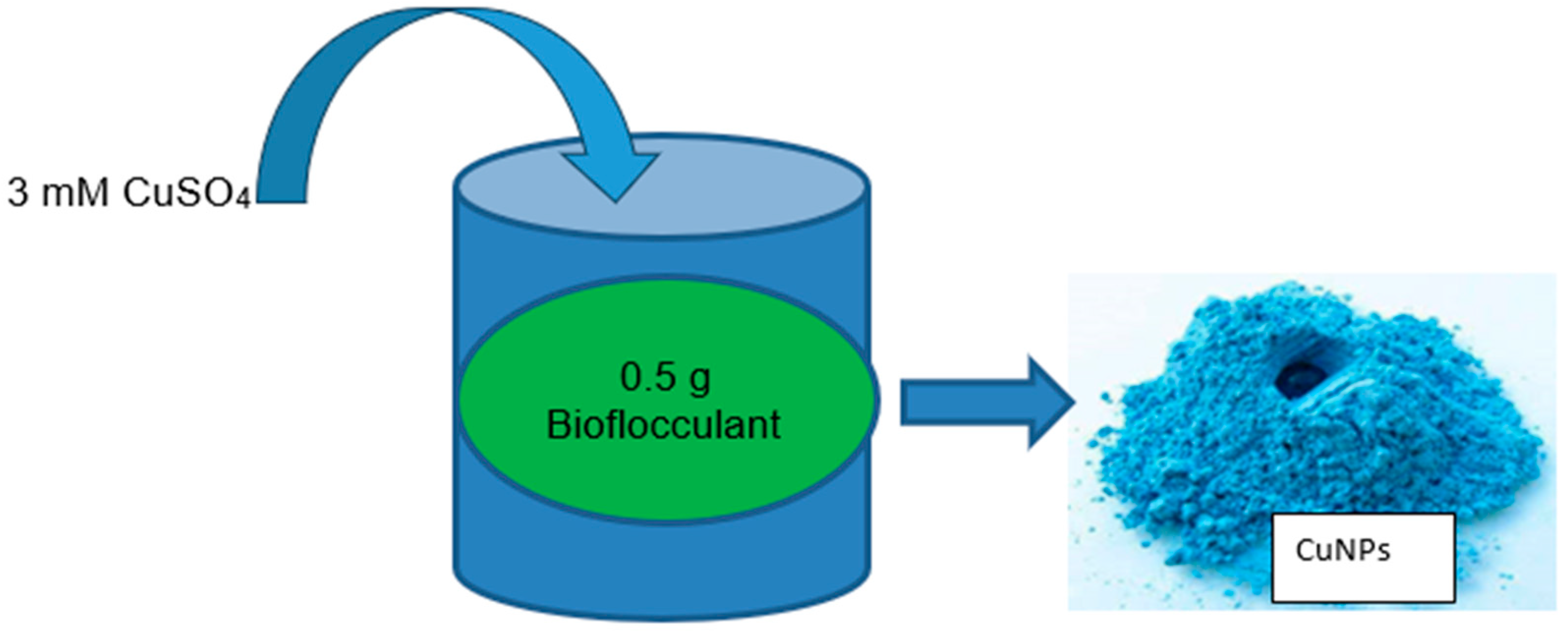 Bioengineering 11 01007 g005