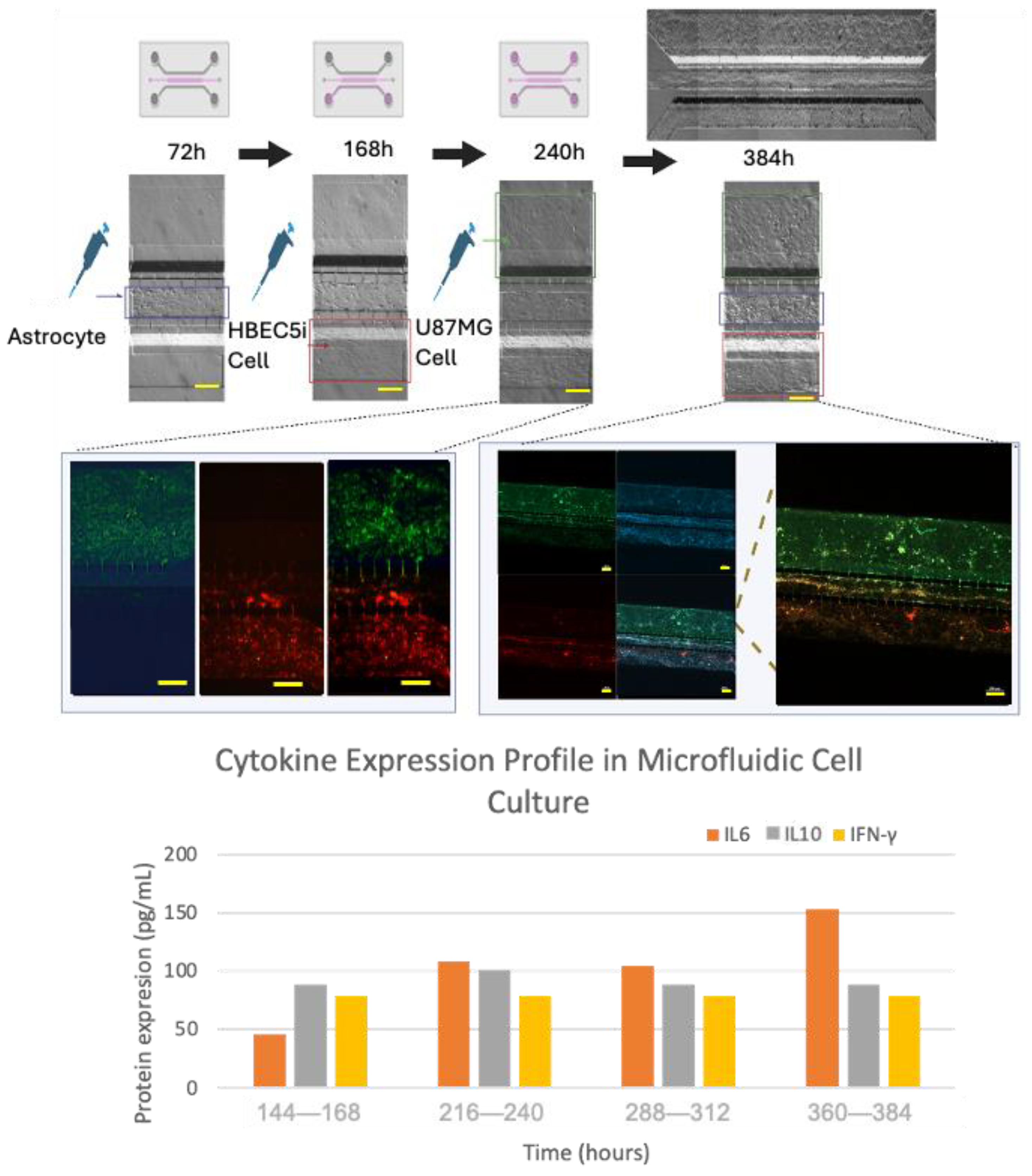 Bioengineering 11 01008 g008