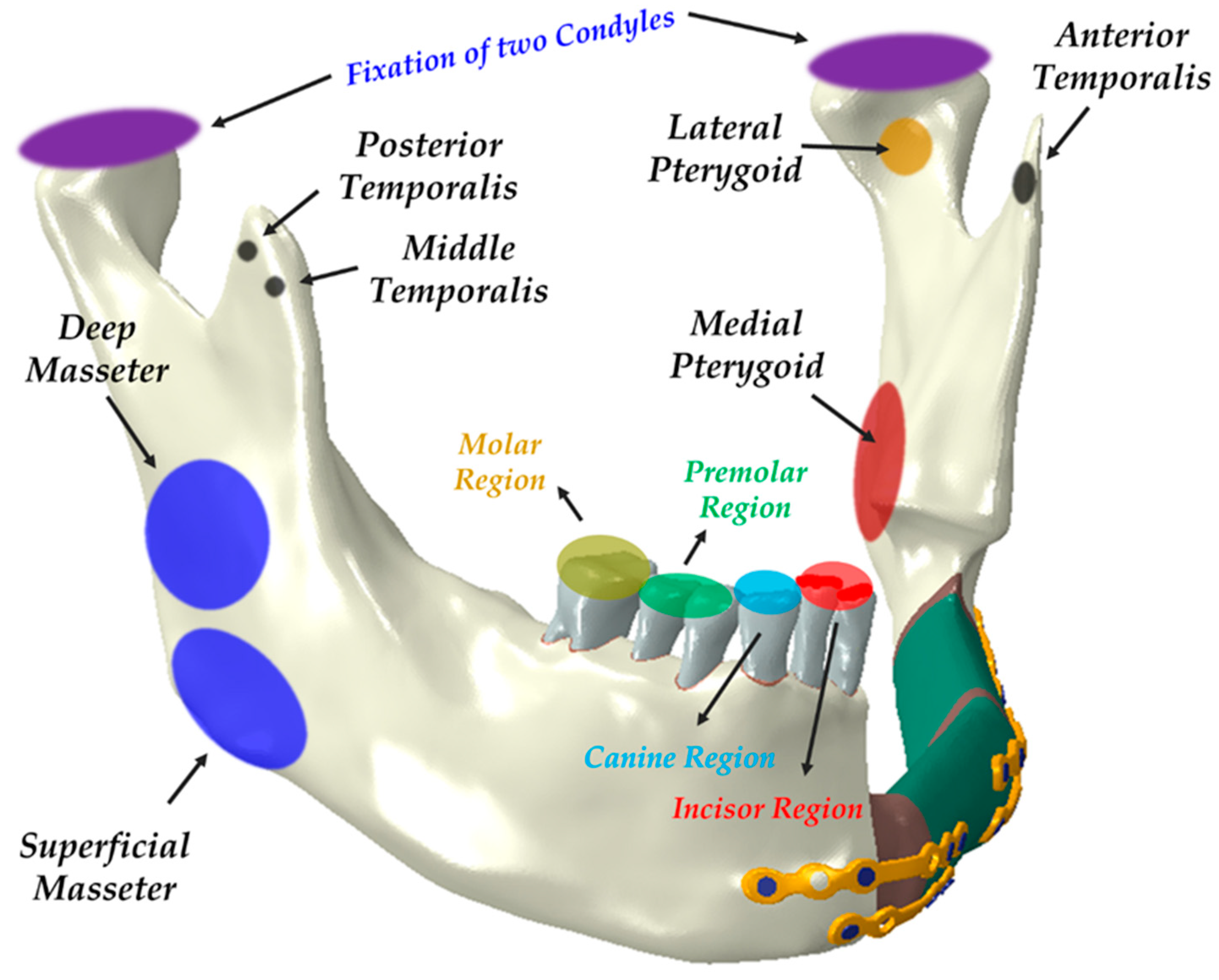 Bioengineering 11 01009 g002